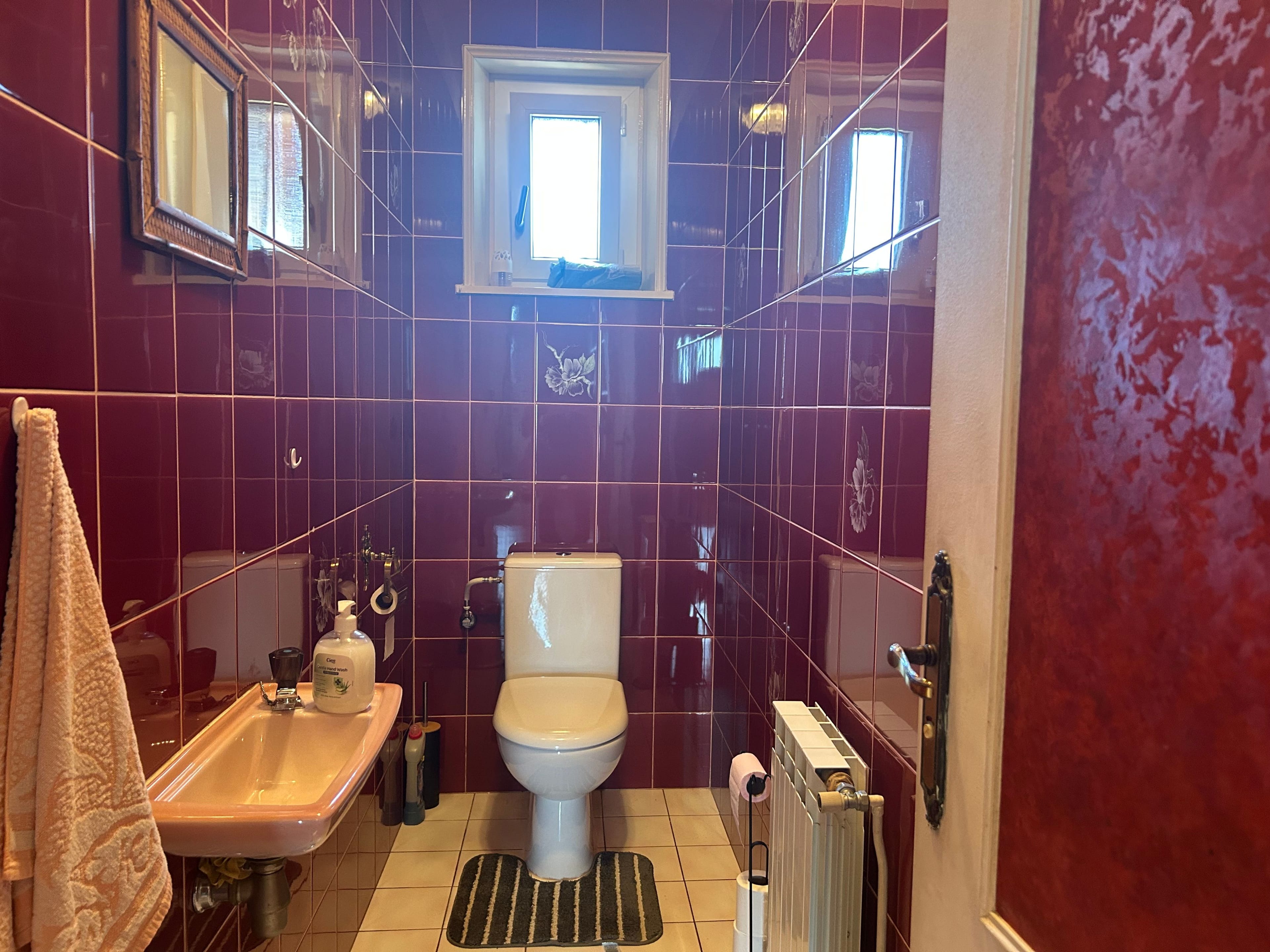 7.5-Zimmer-Landhaus mit 1 ha Grundstück in Monthureux-sur-Saône (FR) nähe Basel und Boncourt - 8