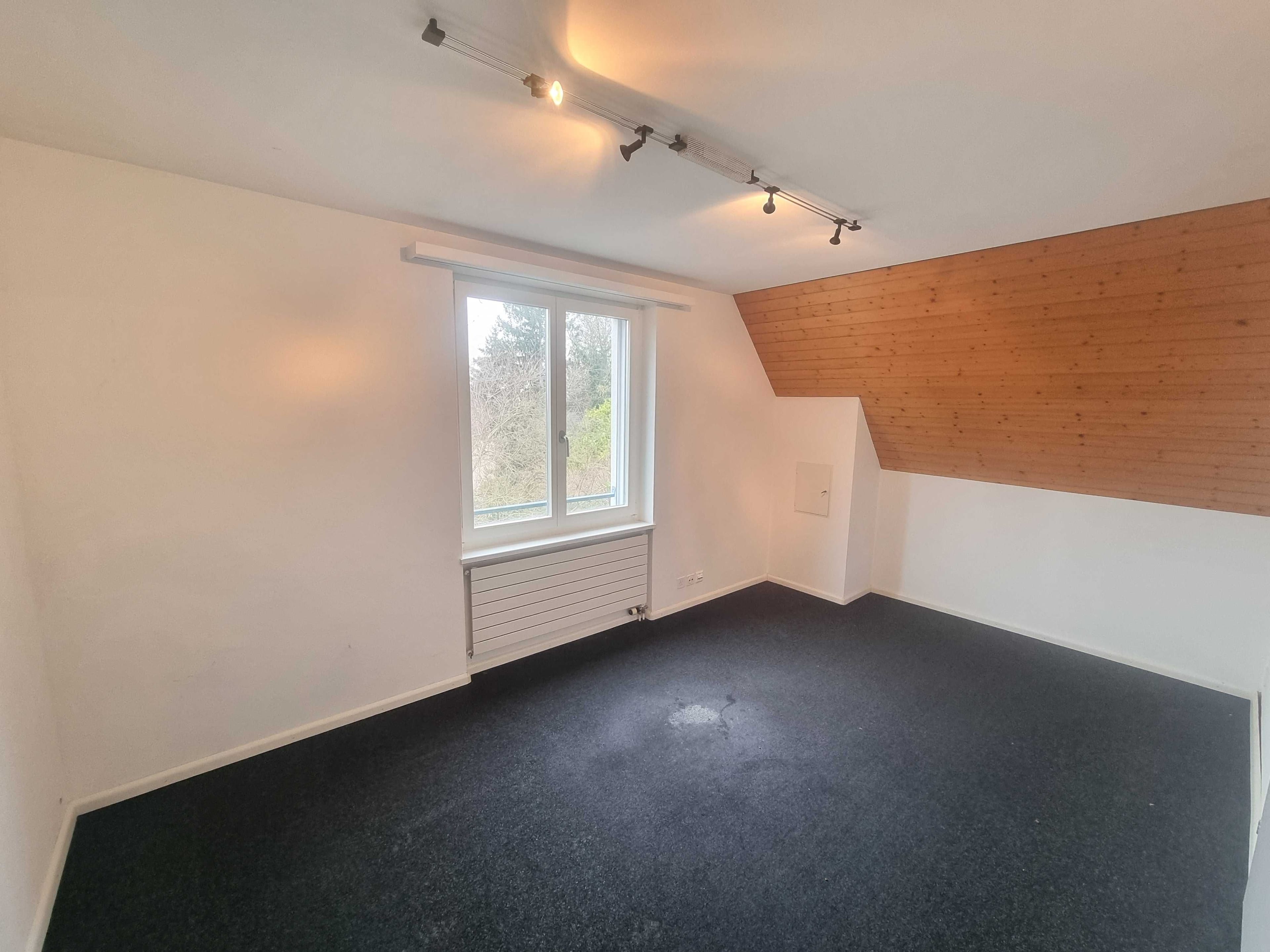 10-Zimmer-Villa mit Bergsicht und Wintergarten in Riehen kaufen - 5