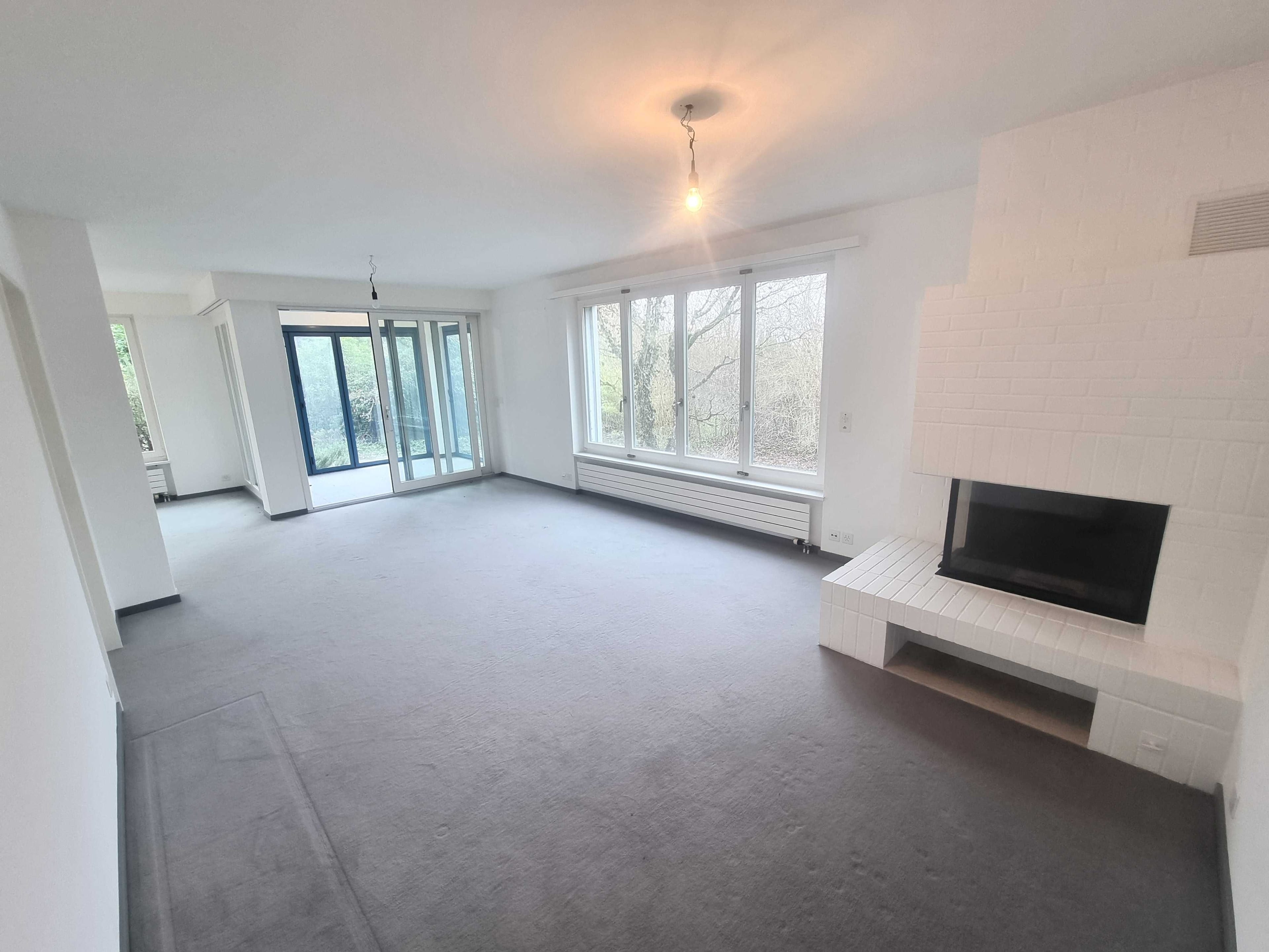 10-Zimmer-Villa mit Bergsicht und Wintergarten in Riehen kaufen - 2