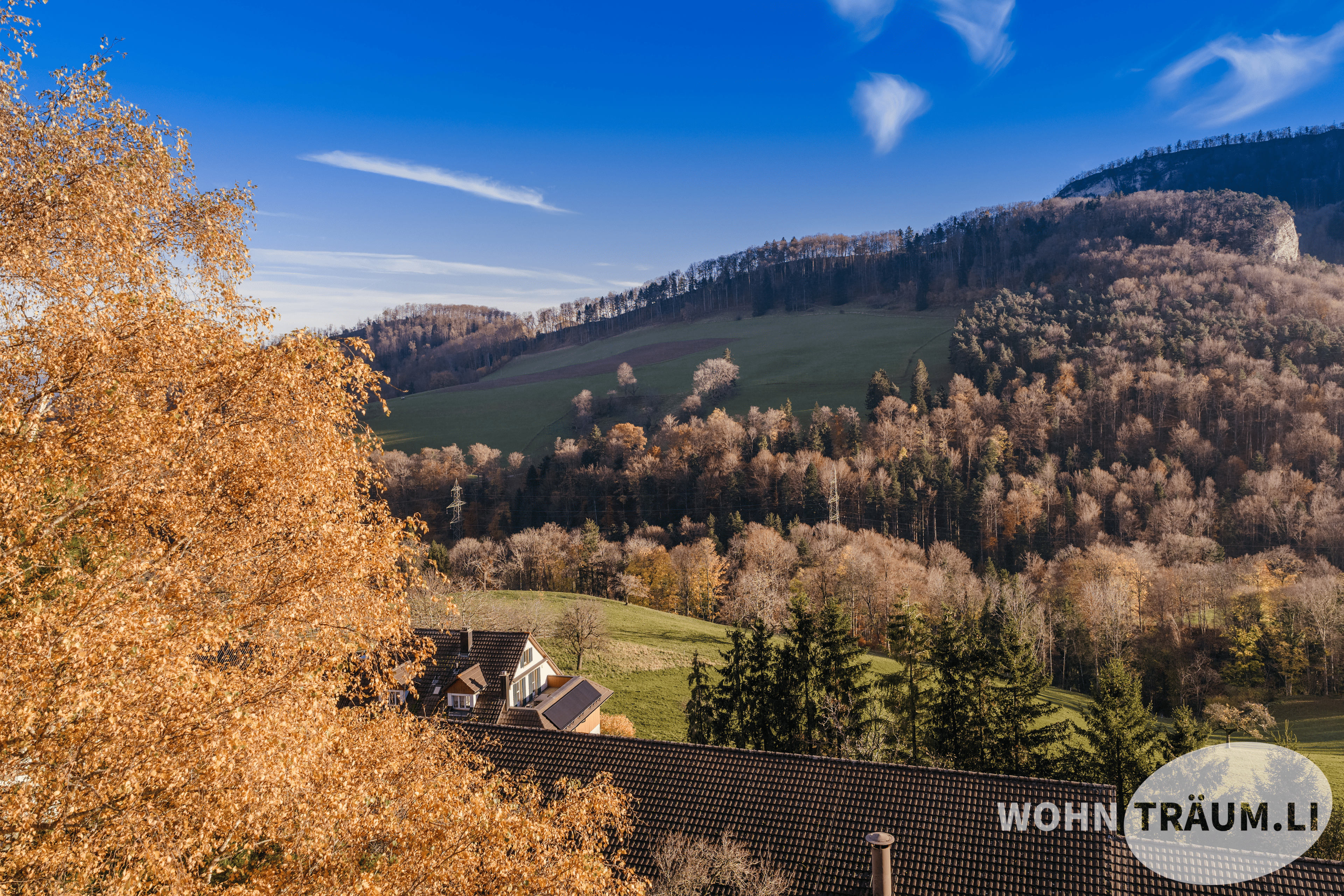 Voll erschlossene Bauparzelle (bebaut) mit Aussicht in Hauenstein-Ifenthal kaufen - 4
