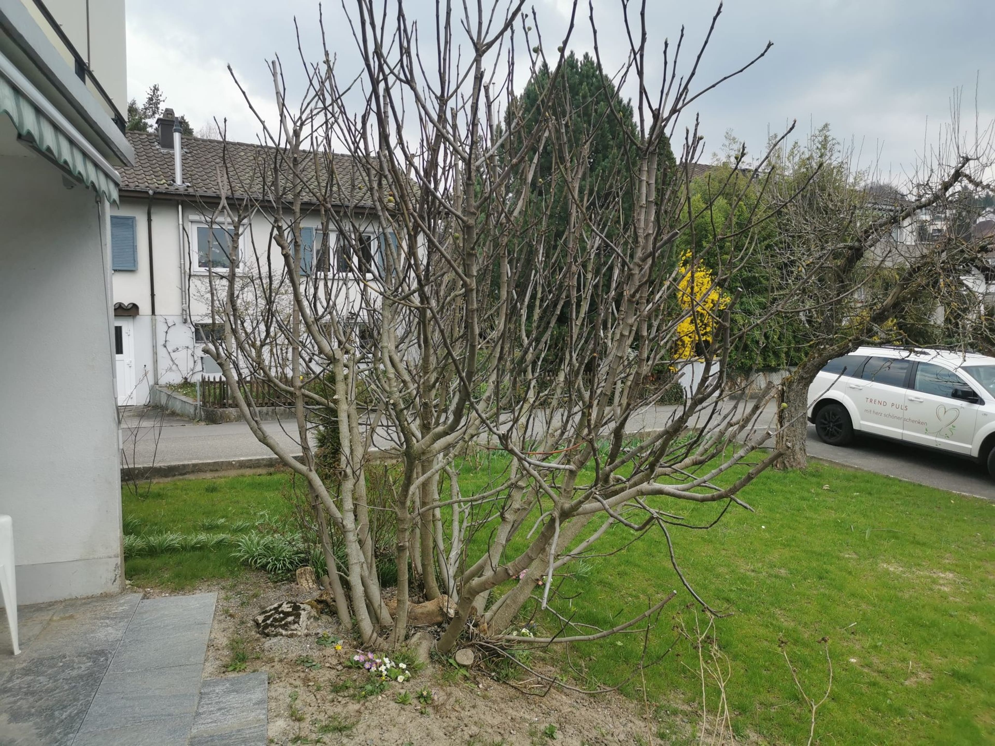 4.5-Zi.-Einfamilienhaus mit grossem Garten in Gränichen - 17
