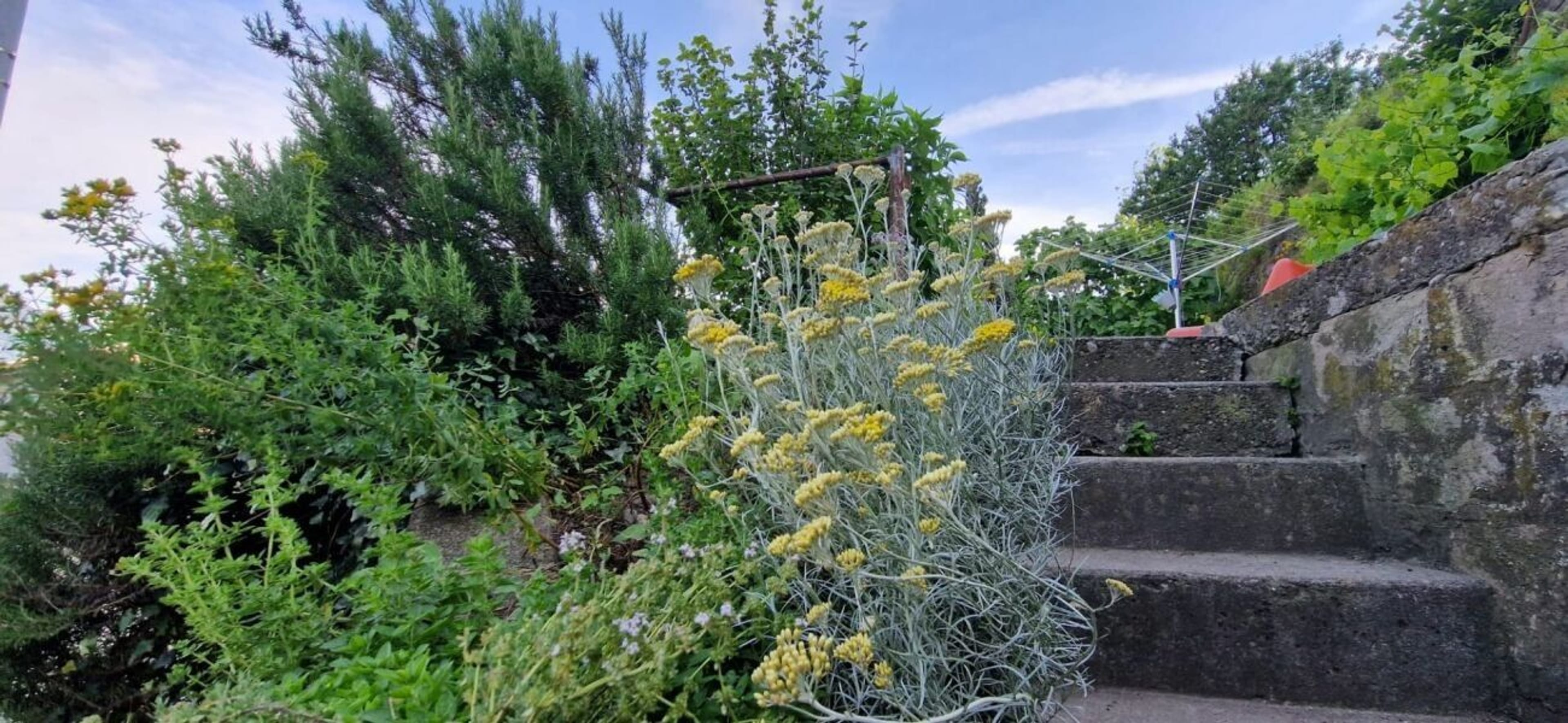 4.5-Zimmer-Haus mit Dachterrasse in Gams kaufen - 7