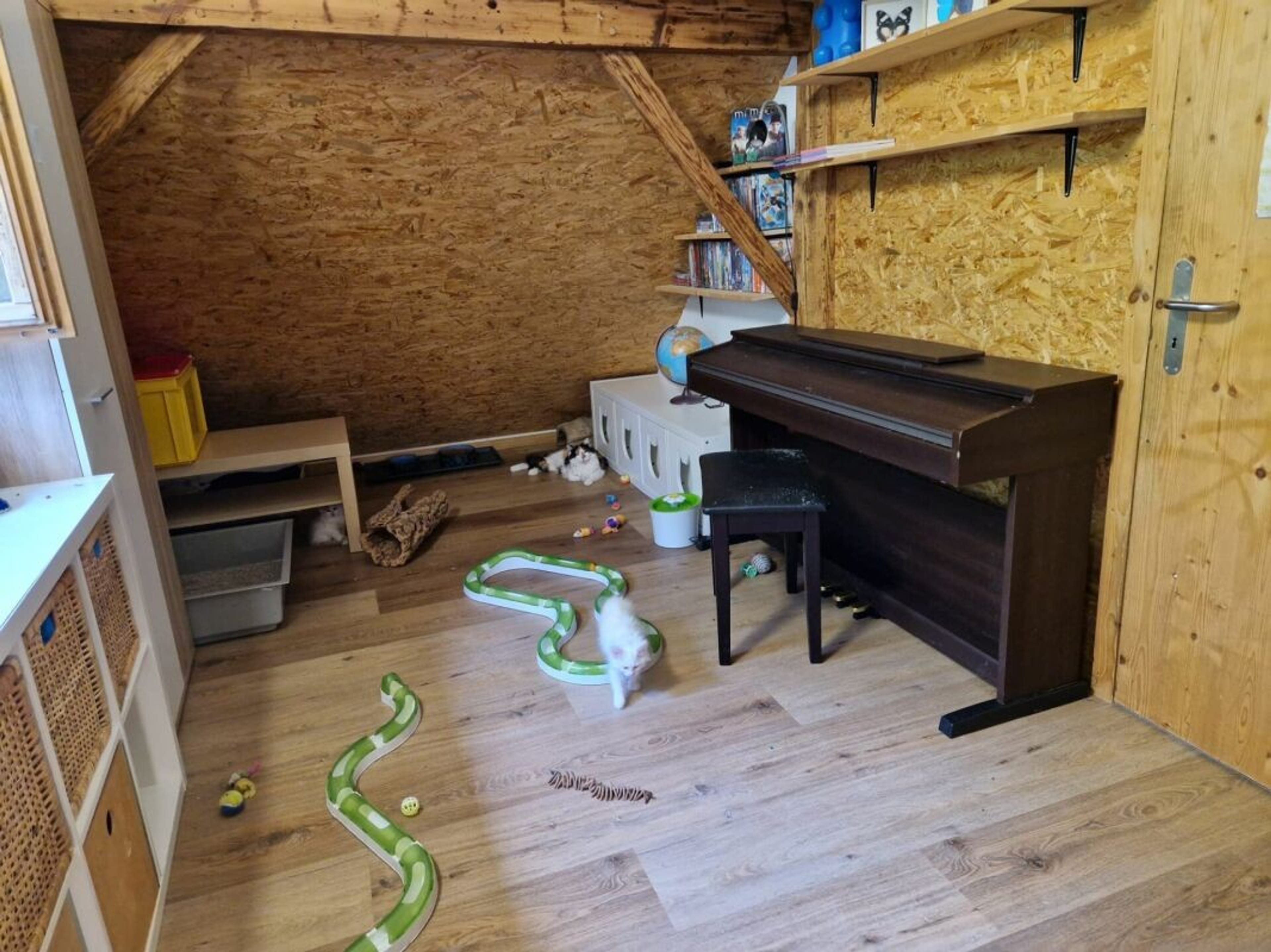 4.5-Zimmer-Haus mit Dachterrasse in Gams kaufen - Bild 5
