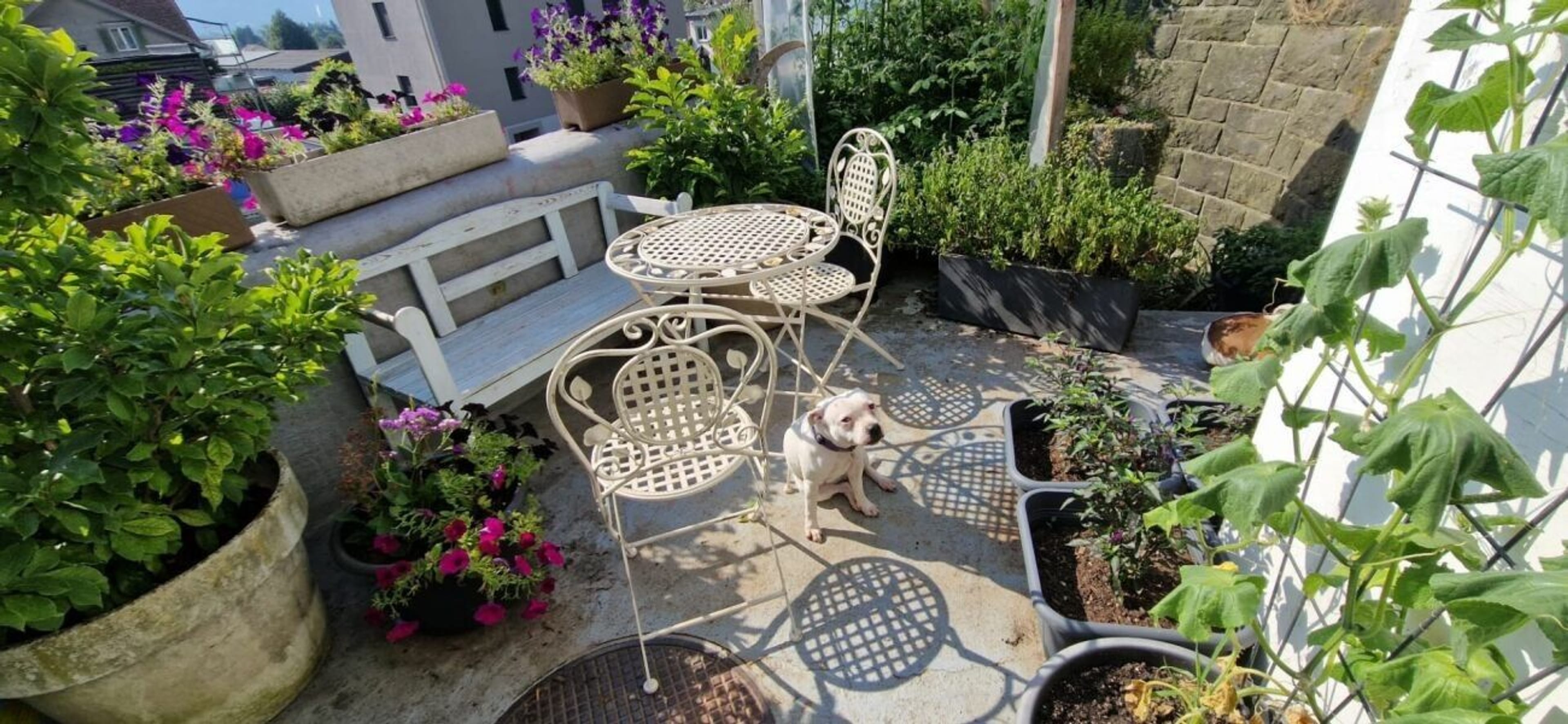 4.5-Zimmer-Haus mit Dachterrasse in Gams kaufen - 8