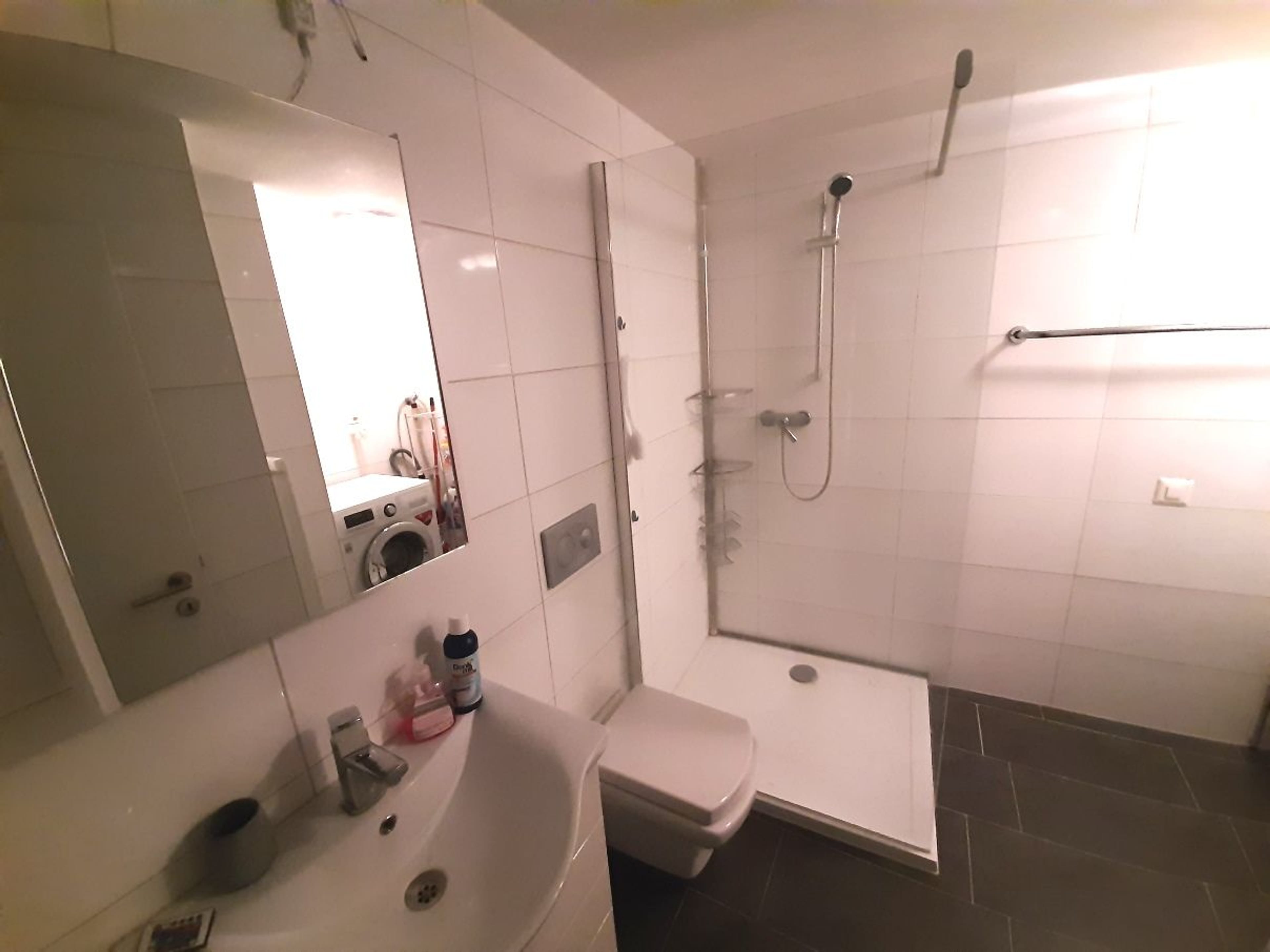 Charme und Raum: 3.5-Zimmer-Dachwohnung in Kaiserstuhl mieten - 4