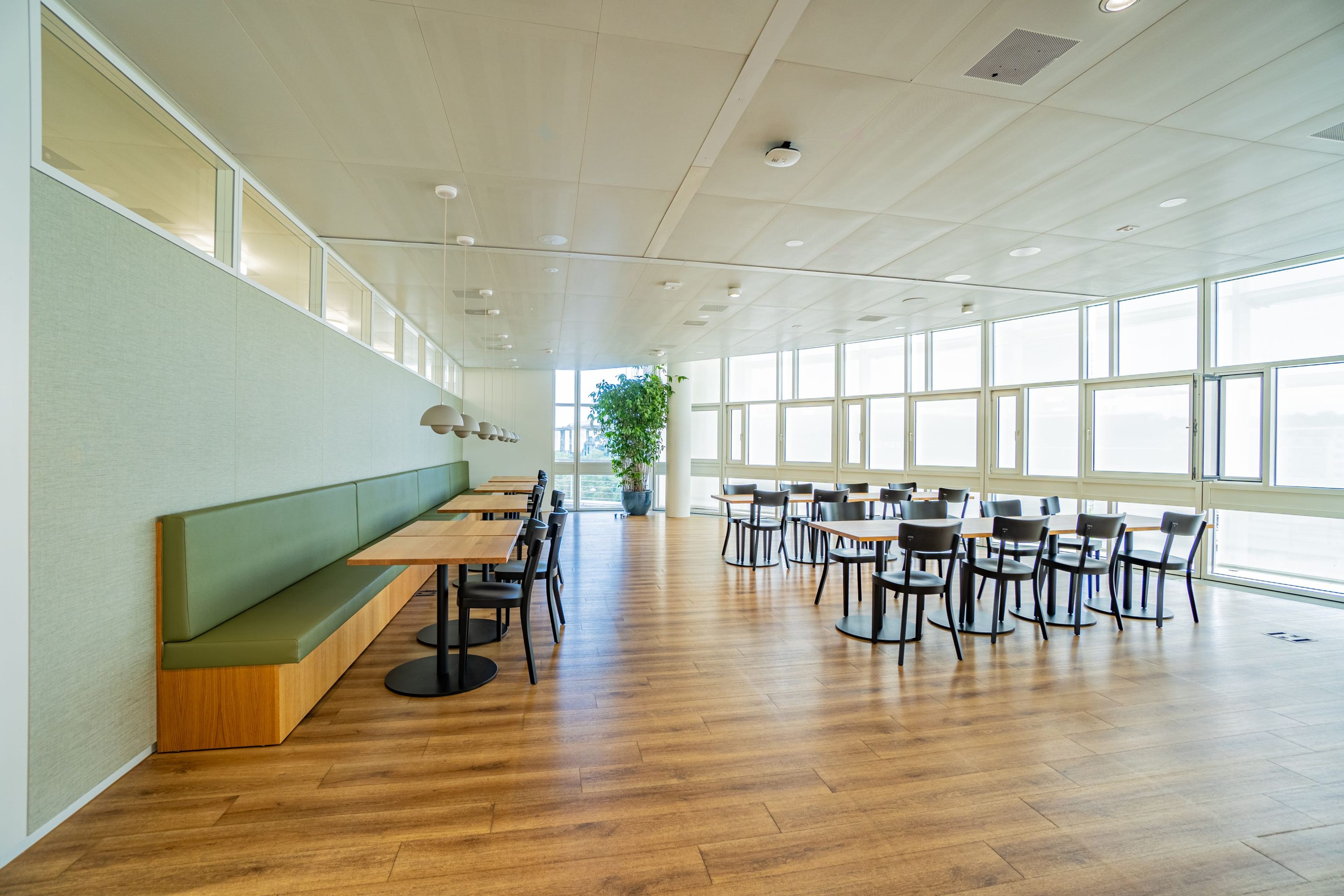 59 m² Büro im White Plaza, 3. OG, nahe SBB - Basel mieten - 10