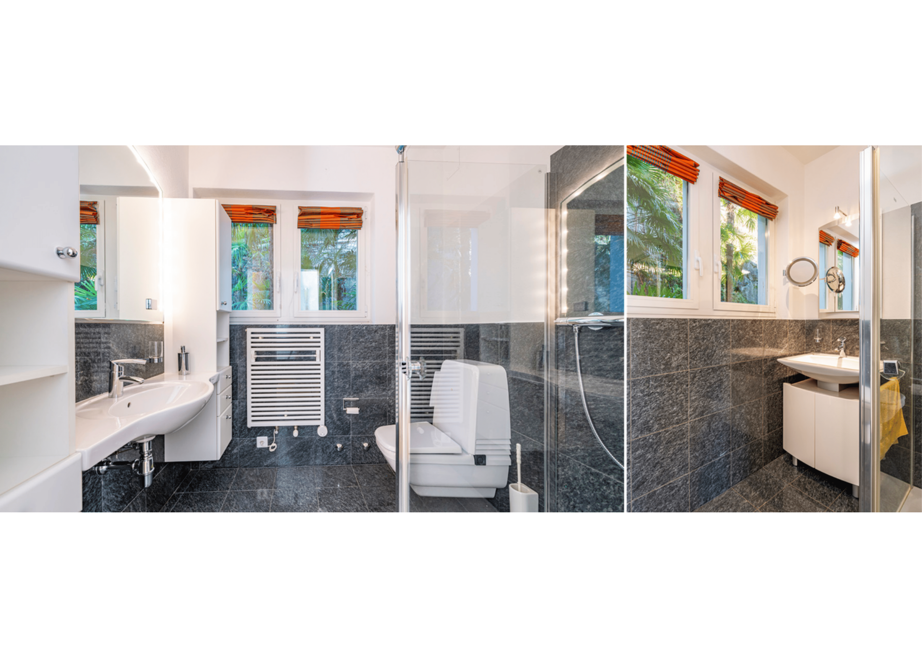 5.5-Zimmer-Villa direkt am Lago Maggiore in Ascona kaufen - 5