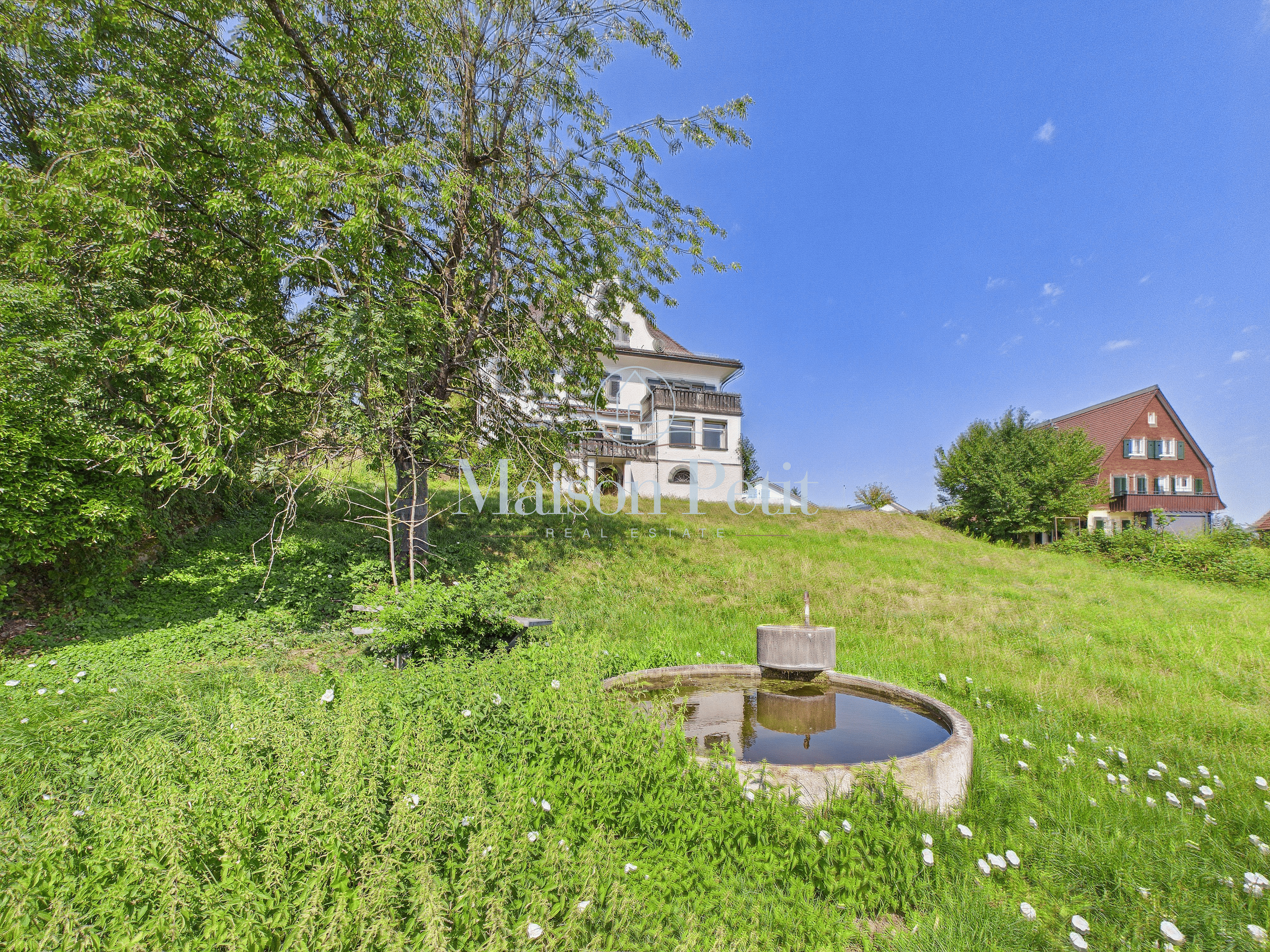 Historische 12.5-Zimmer-Villa mit grandiosem Entwicklungspotential - 7
