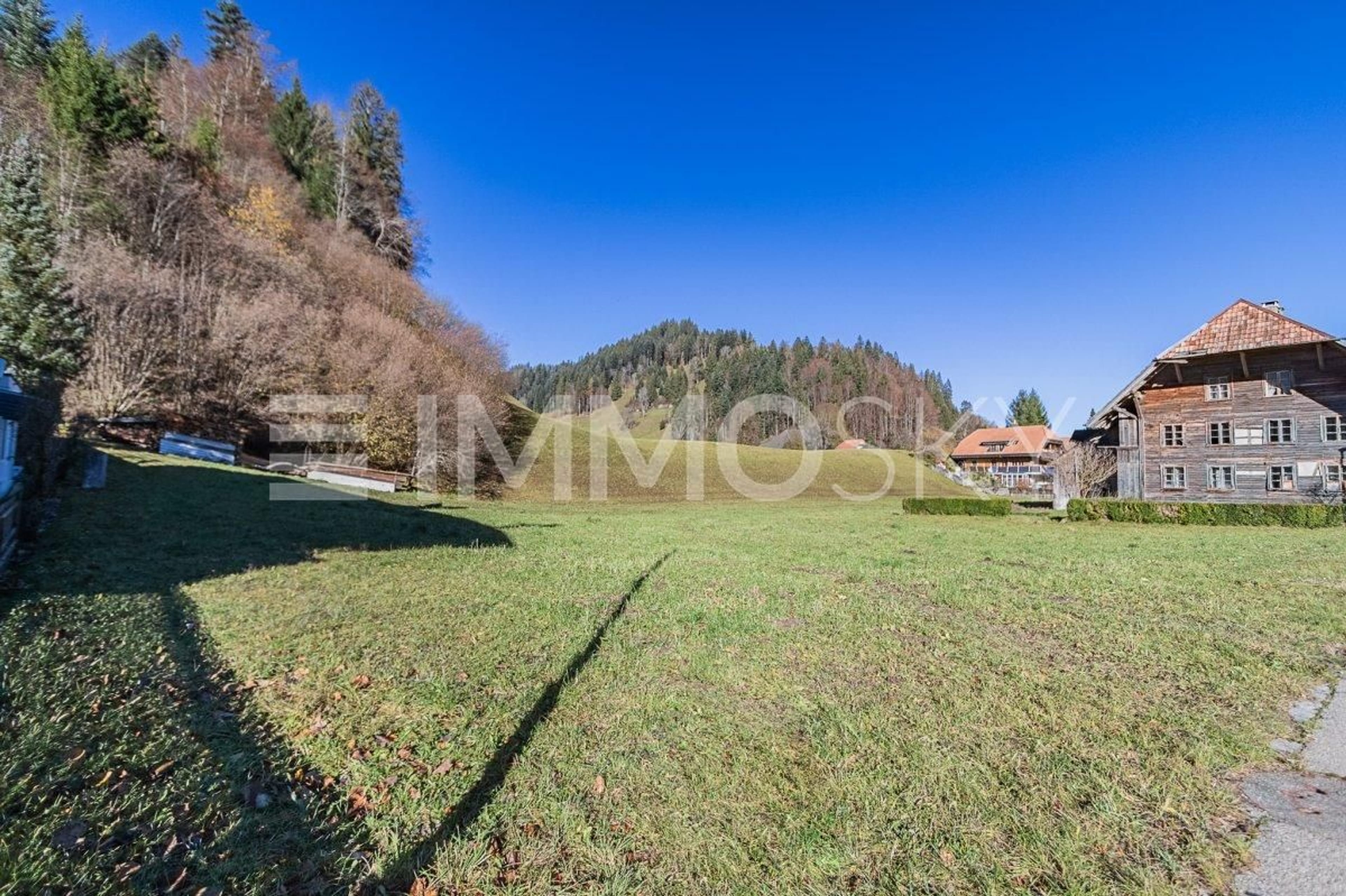 Singles Paradies - Bild 5