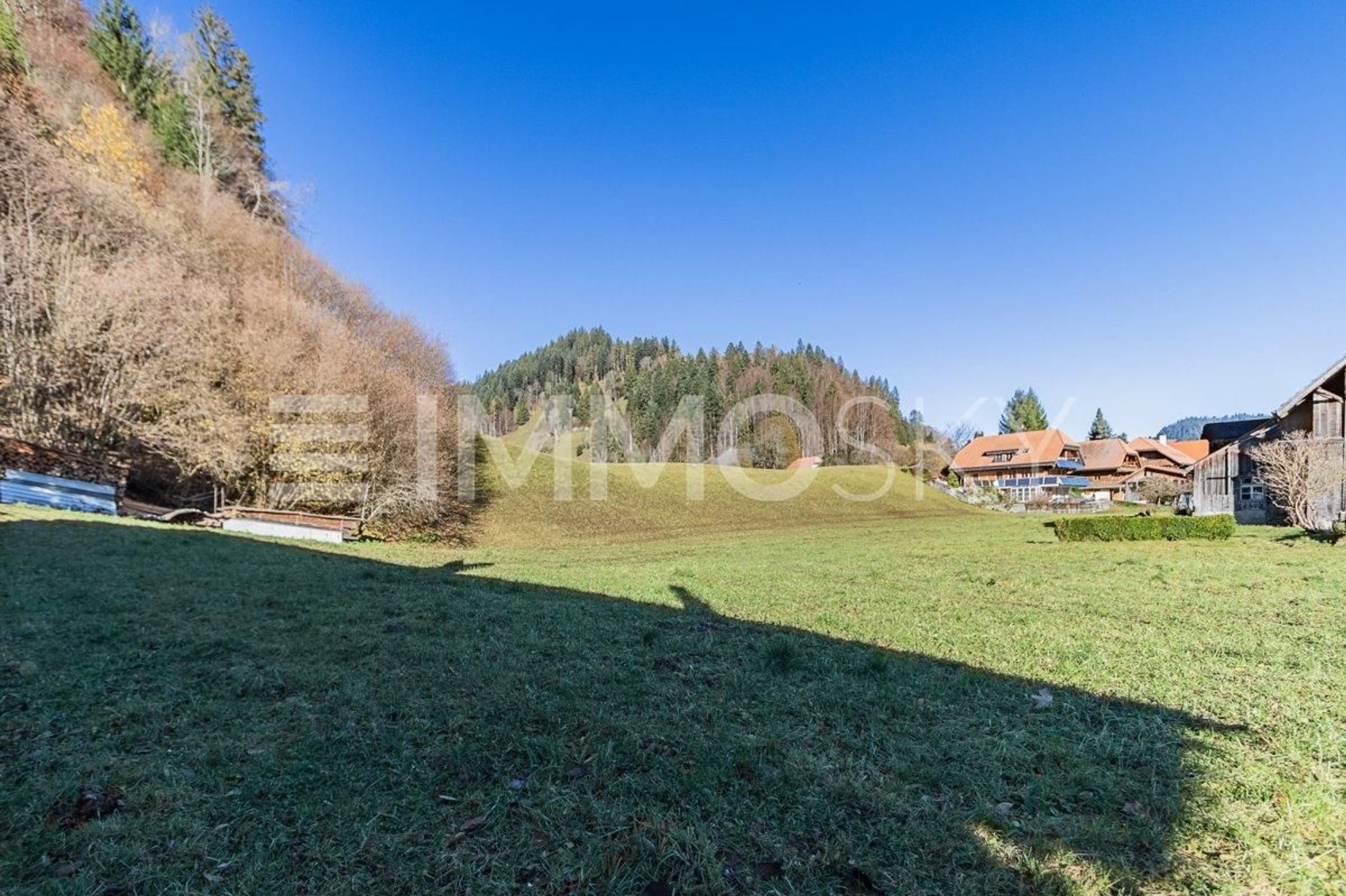 Singles Paradies - Bild 4