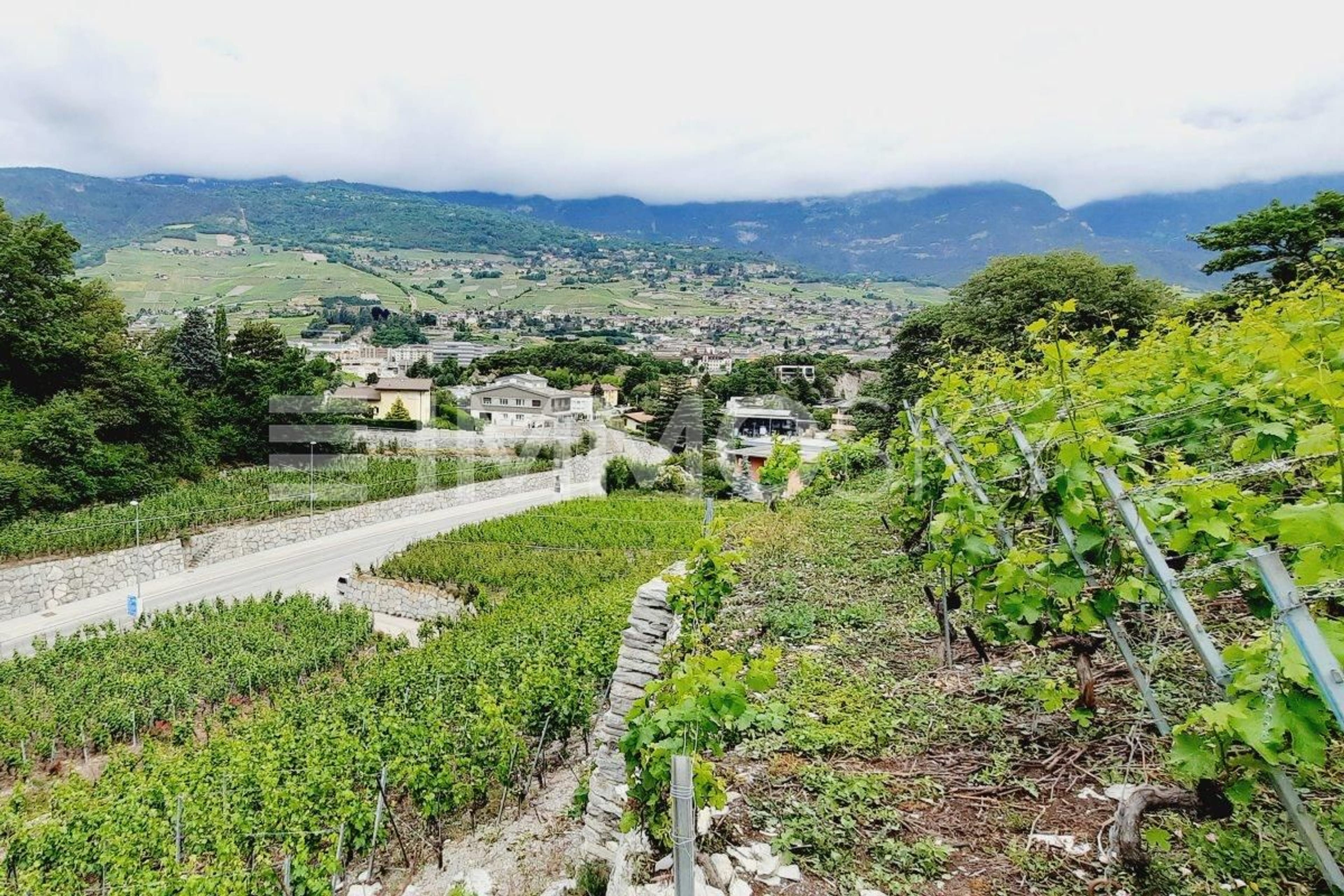 Exclusivité ImmoSky : Terrain à constuire avec vue unique - Bild 2
