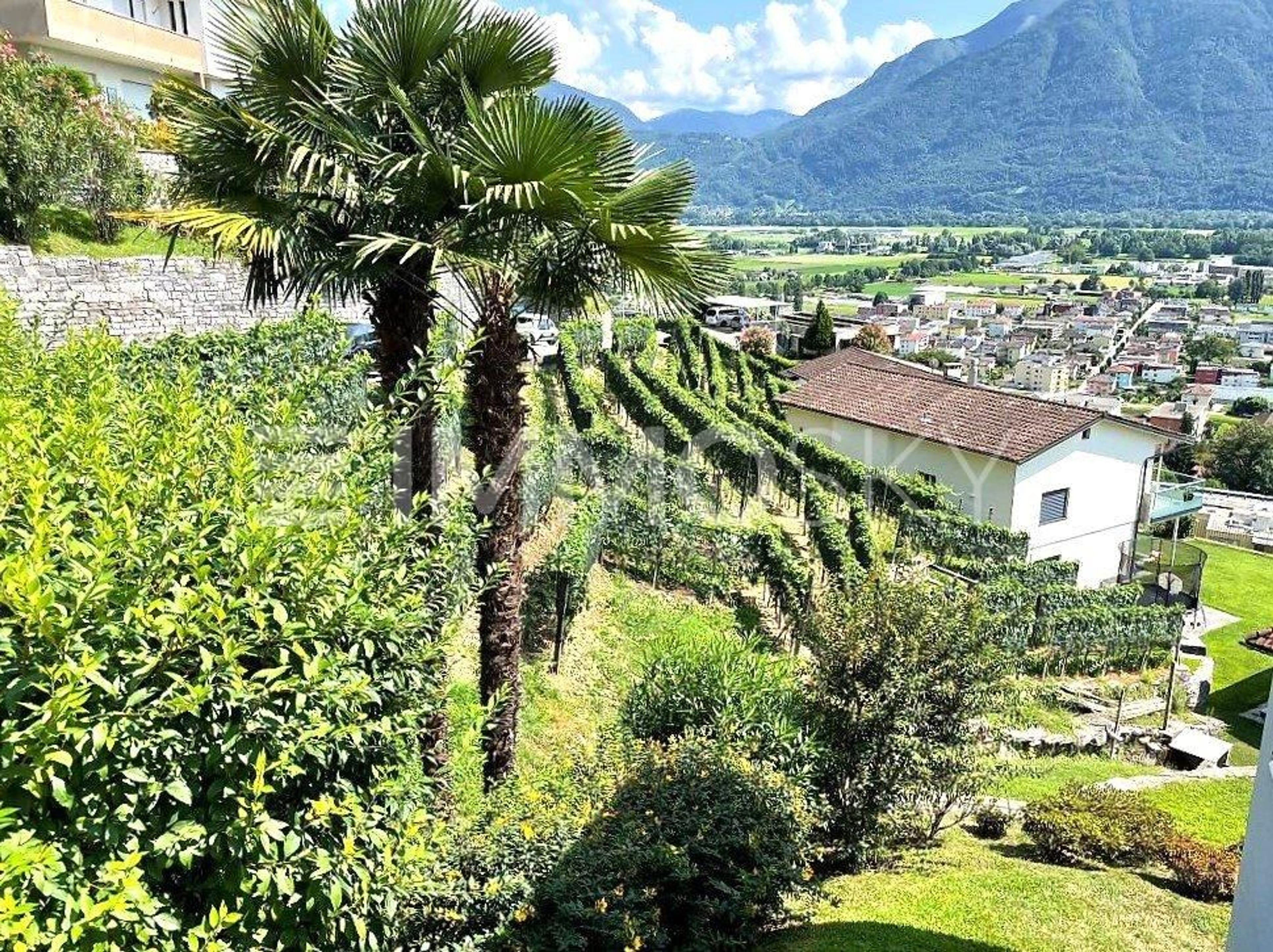 Vista lago e soleggiamento totale - Bild 3