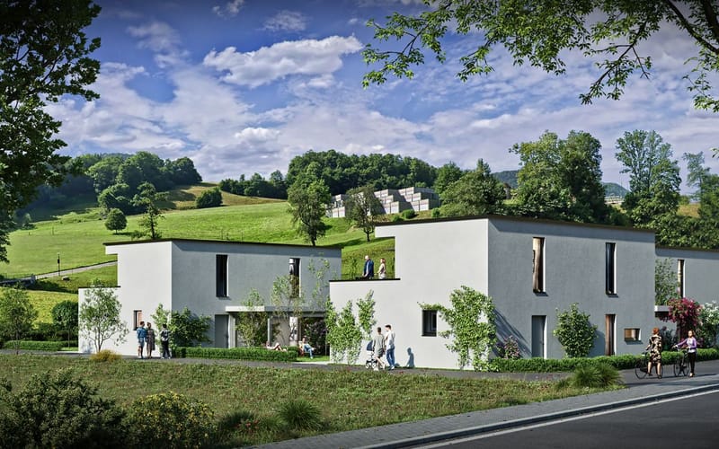 Exklusives Neubauprojekt in Zullwil – Wohnen nach Ihren Vorstellungen (C)