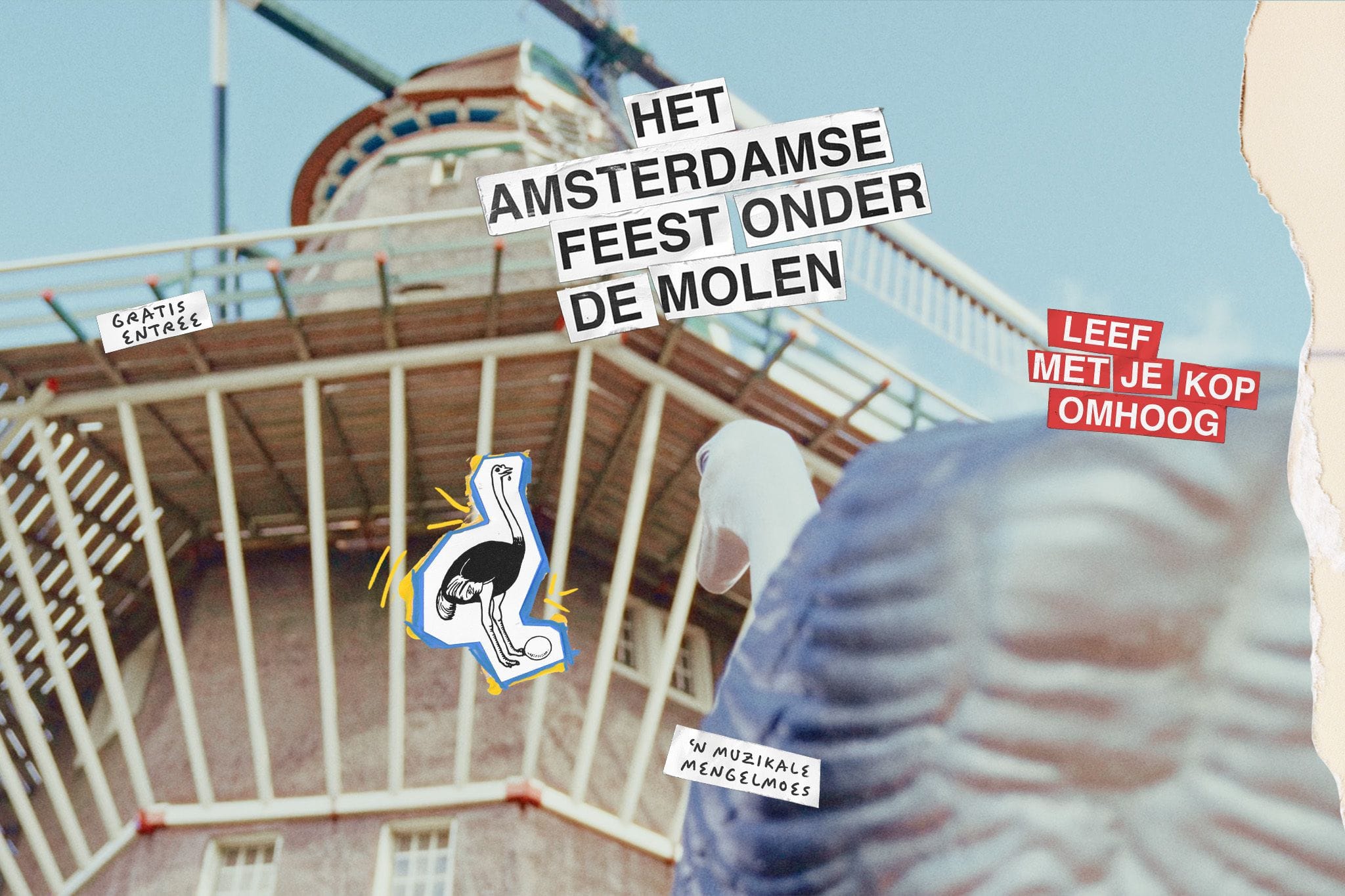 Het Amsterdamse feest onder de molen activiteiten overzicht