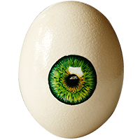 Brouwerij t IJ Eggshibition struisvogelei 8