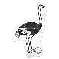 KROEGENPARADE STRUISVOGEL
