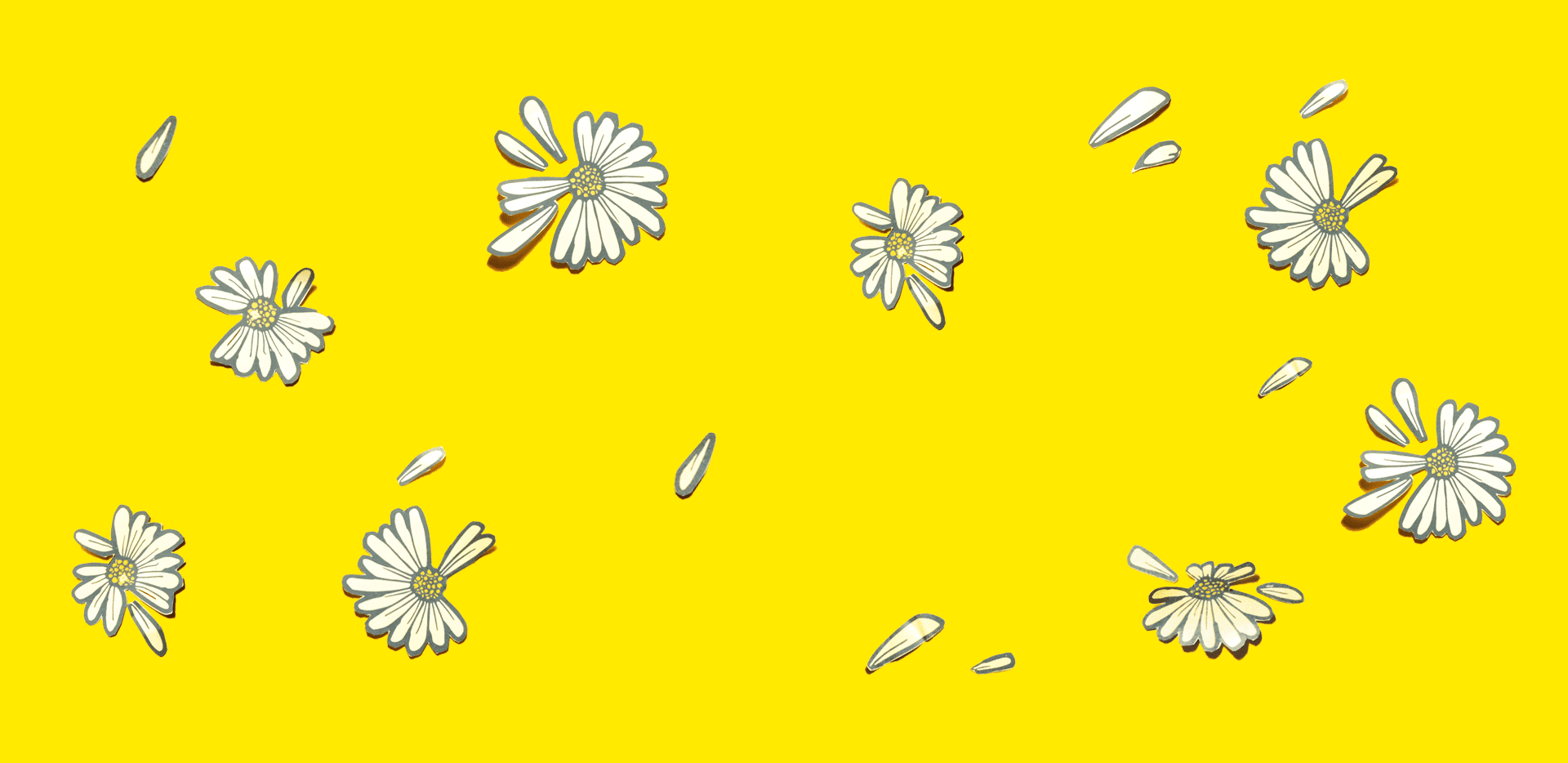 brouwerij 't ij paasij header