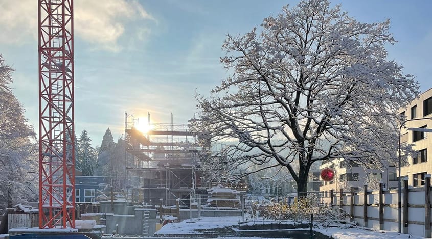 4037 D5 231203 IMG 1727 45 25 Weihnacht