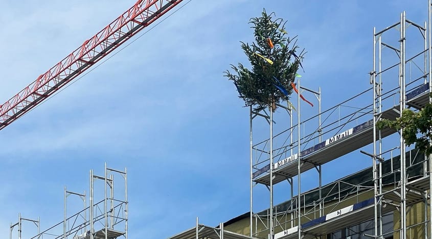 4037 D5 240628 IMG 1548 bearbeitet 45 25