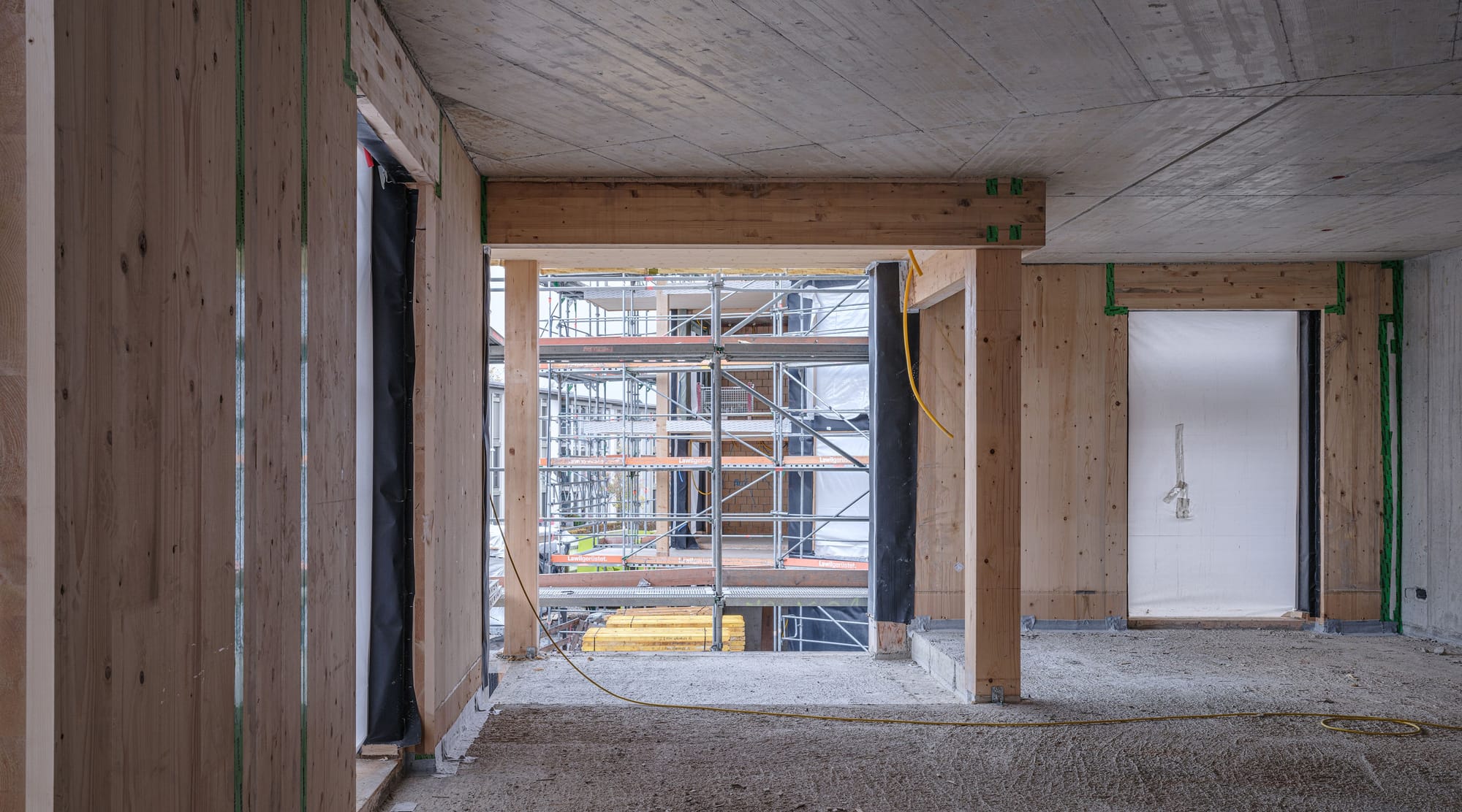 4034 D8 231107 Silvano Pedrett Photography s RGB 33 45 25