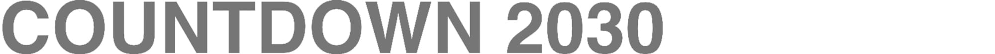 Countdown 2030 ohne Rand klein