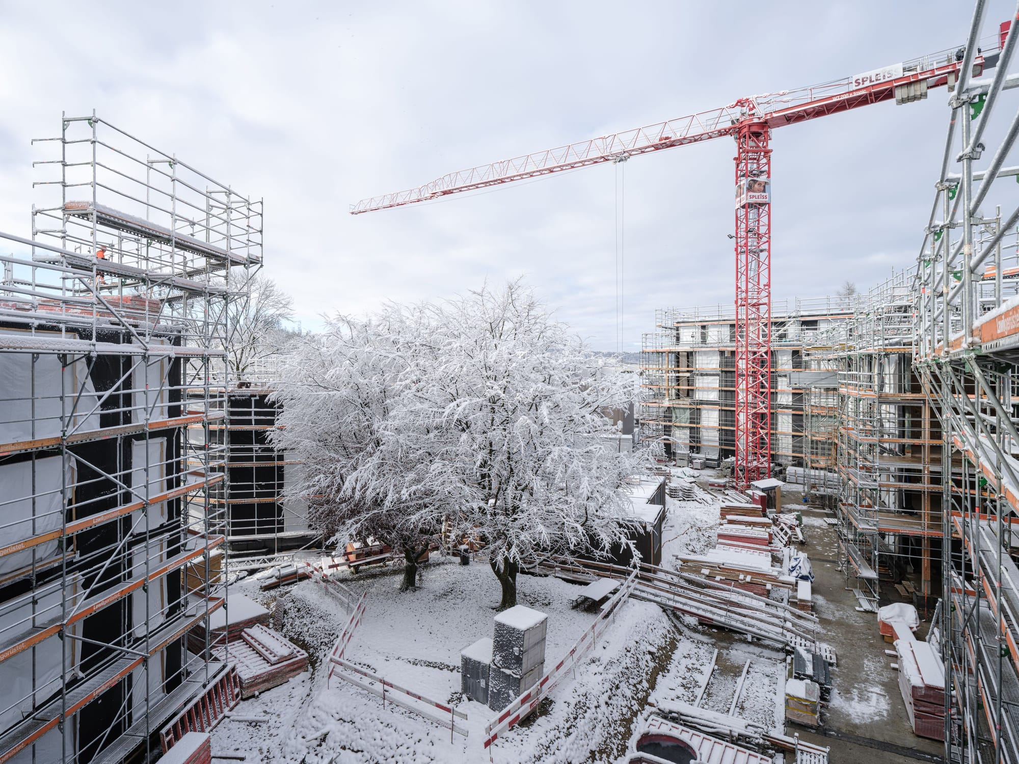 4034 D8 240123 Silvano Pedrett Photography s RGB 11