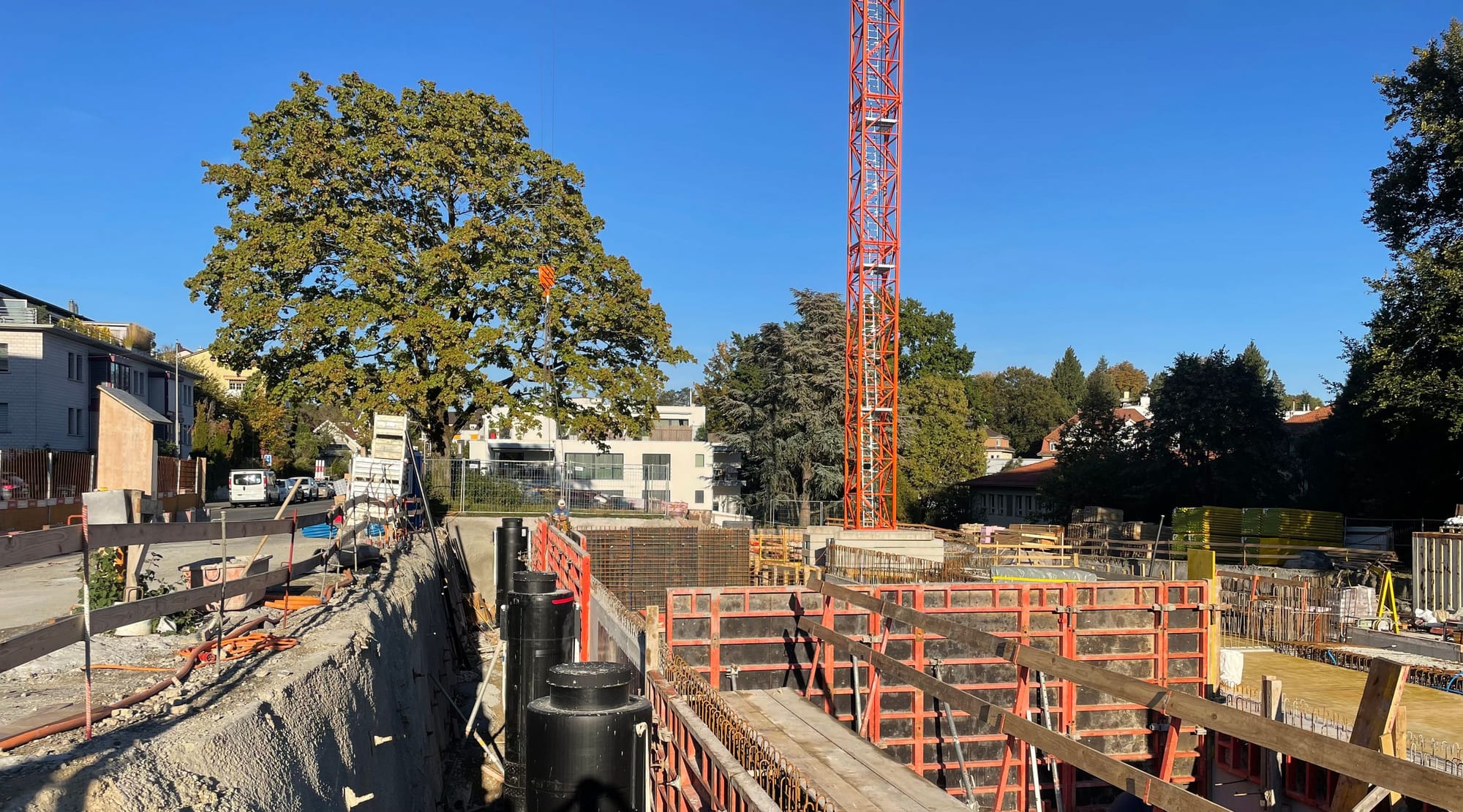 4037 231017 IMG 0155 45 25