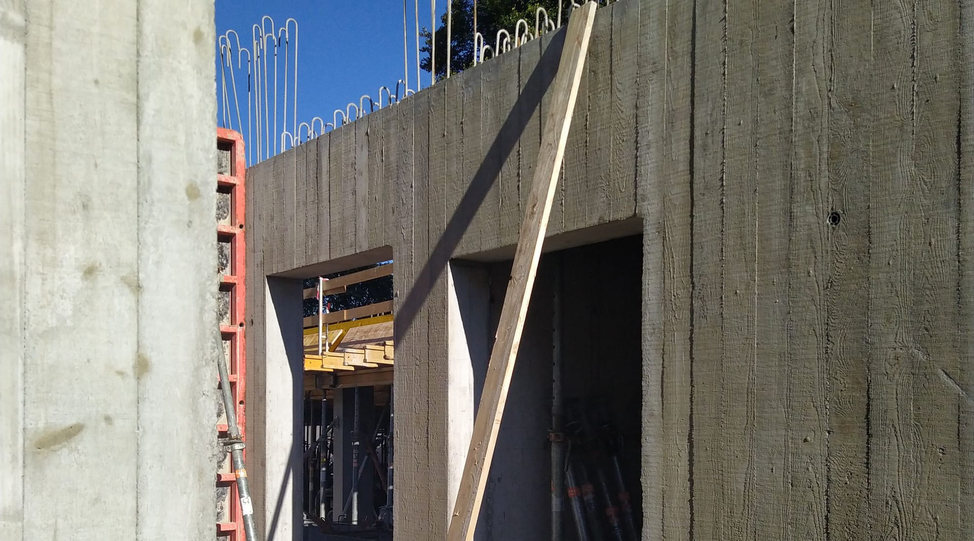 4037 D5 230925 164120 45 25