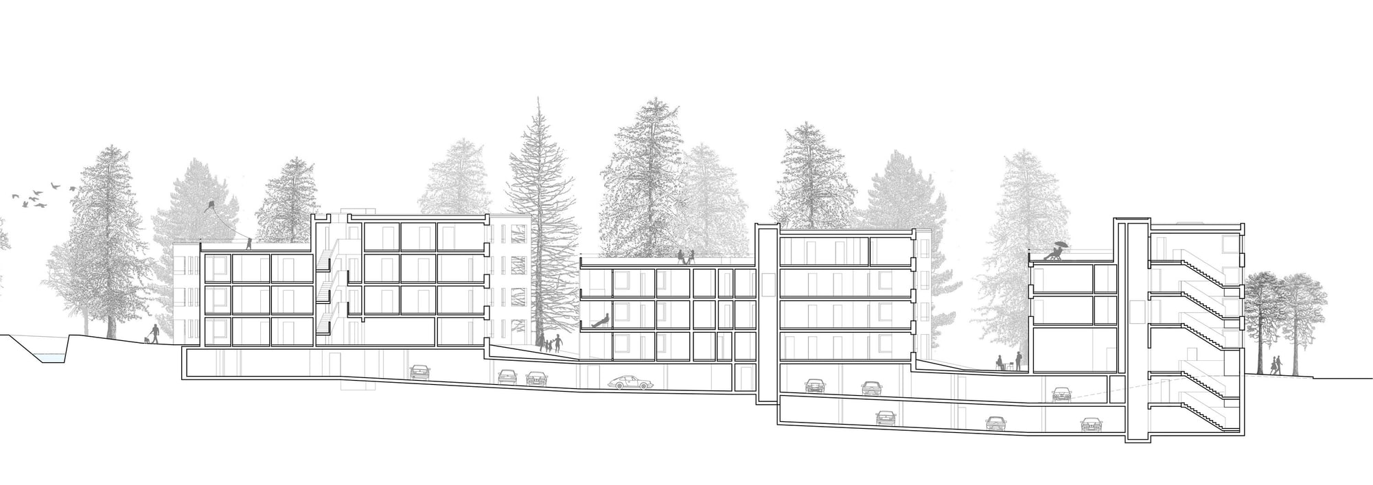 4026 C31 220510 Schnitt