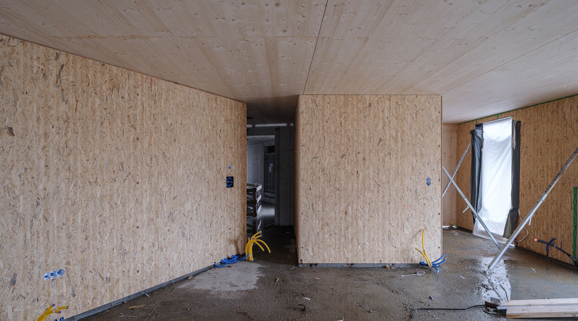 4034 D8 231107 Silvano Pedrett Photography s RGB 24 45 25