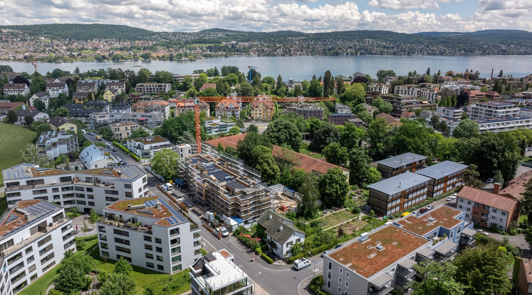 4037 D8 240531 Cajos Wollishofen Shoot 3 3