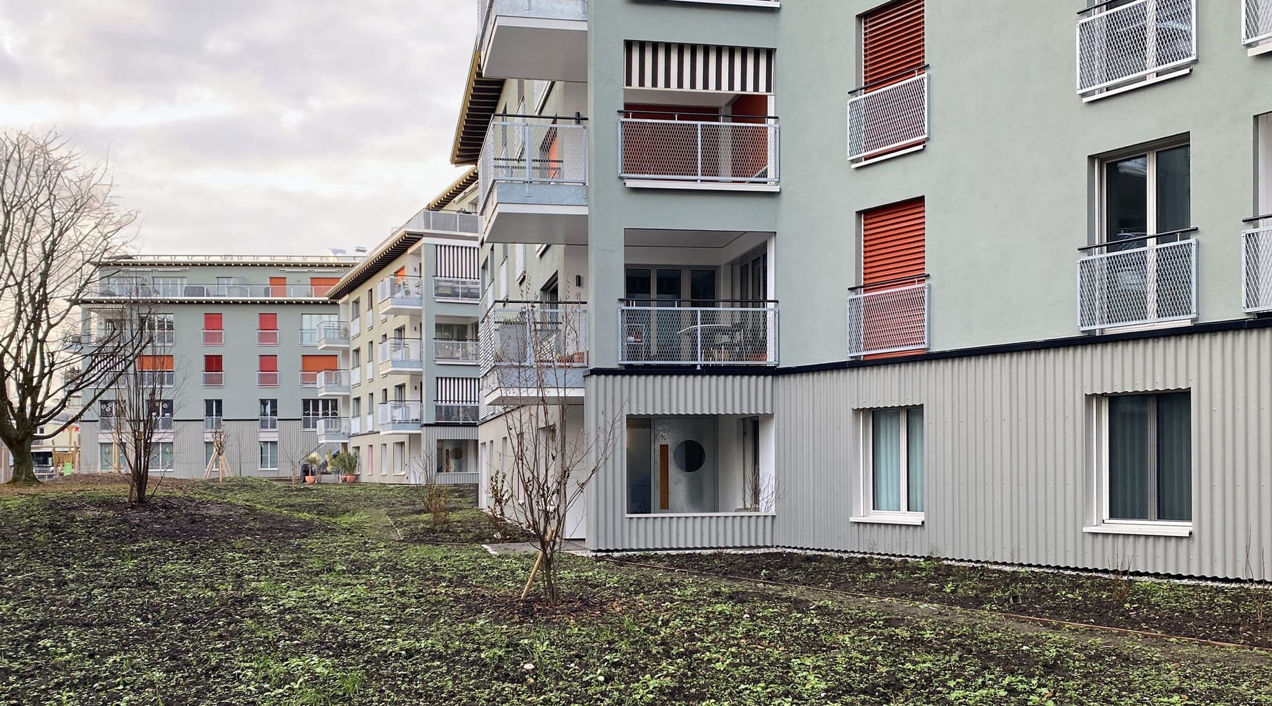 4034 D8 251128 IMG 8417 bearbeitet2 45 30