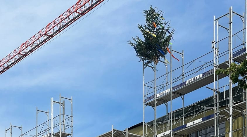 4037 D5 240628 IMG 1548 bearbeitet 45 25