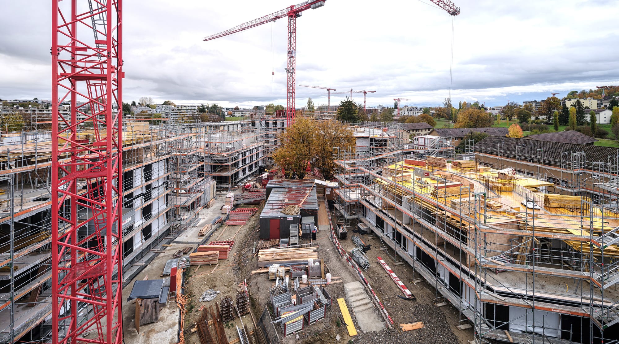 4034 D8 231107 Silvano Pedrett Photography s RGB 22 45 25