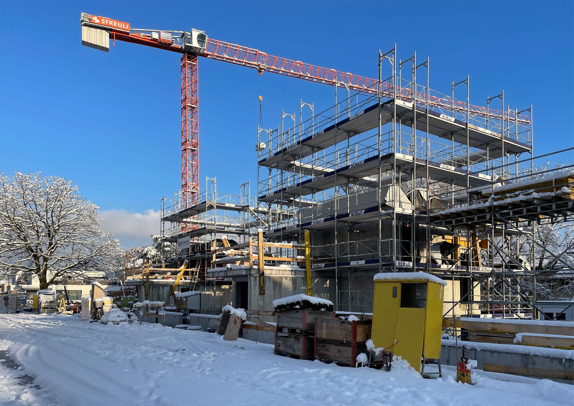 4037 D5 231203 IMG 1713