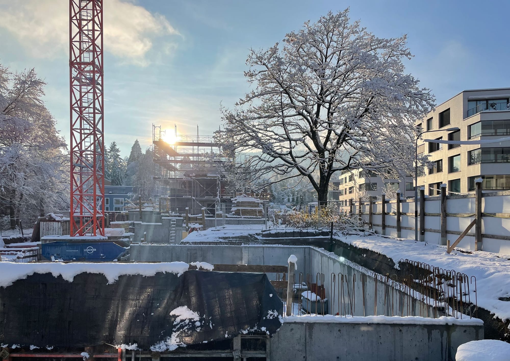 4037 D5 231203 IMG 1727