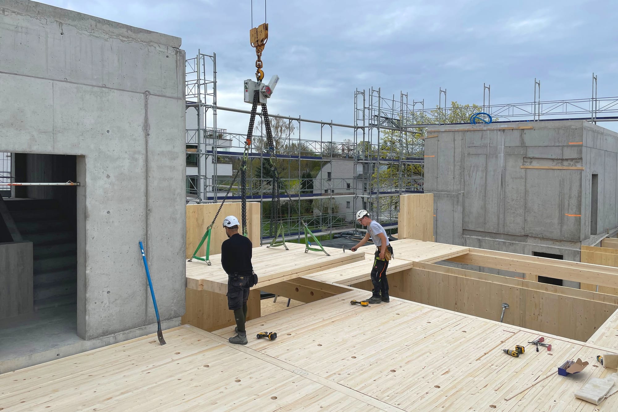 4037 D5 240404 IMG 3345 bearbeitet heller 45 30