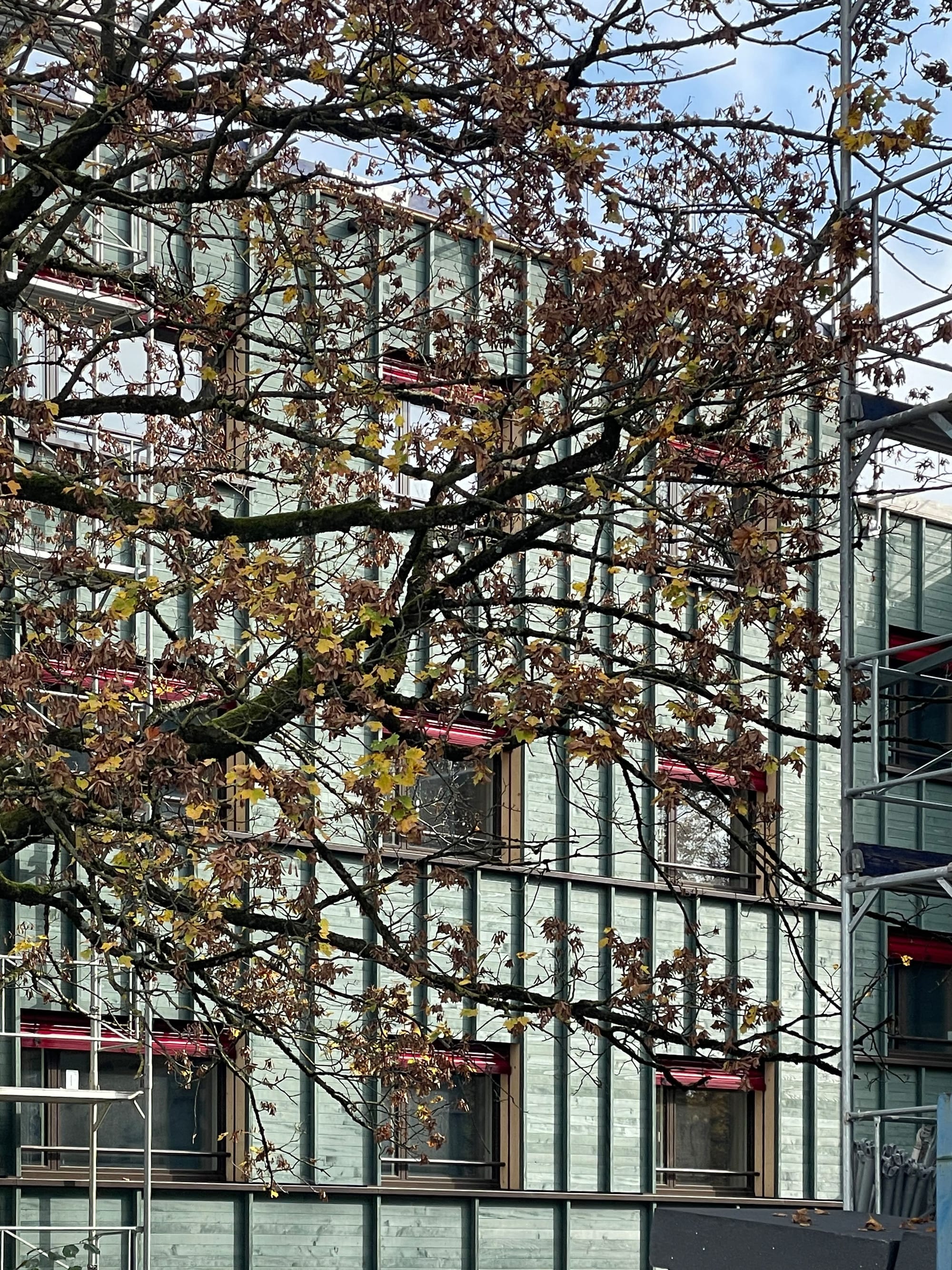 4037 D5 241108 IMG 4566 bearbeitet