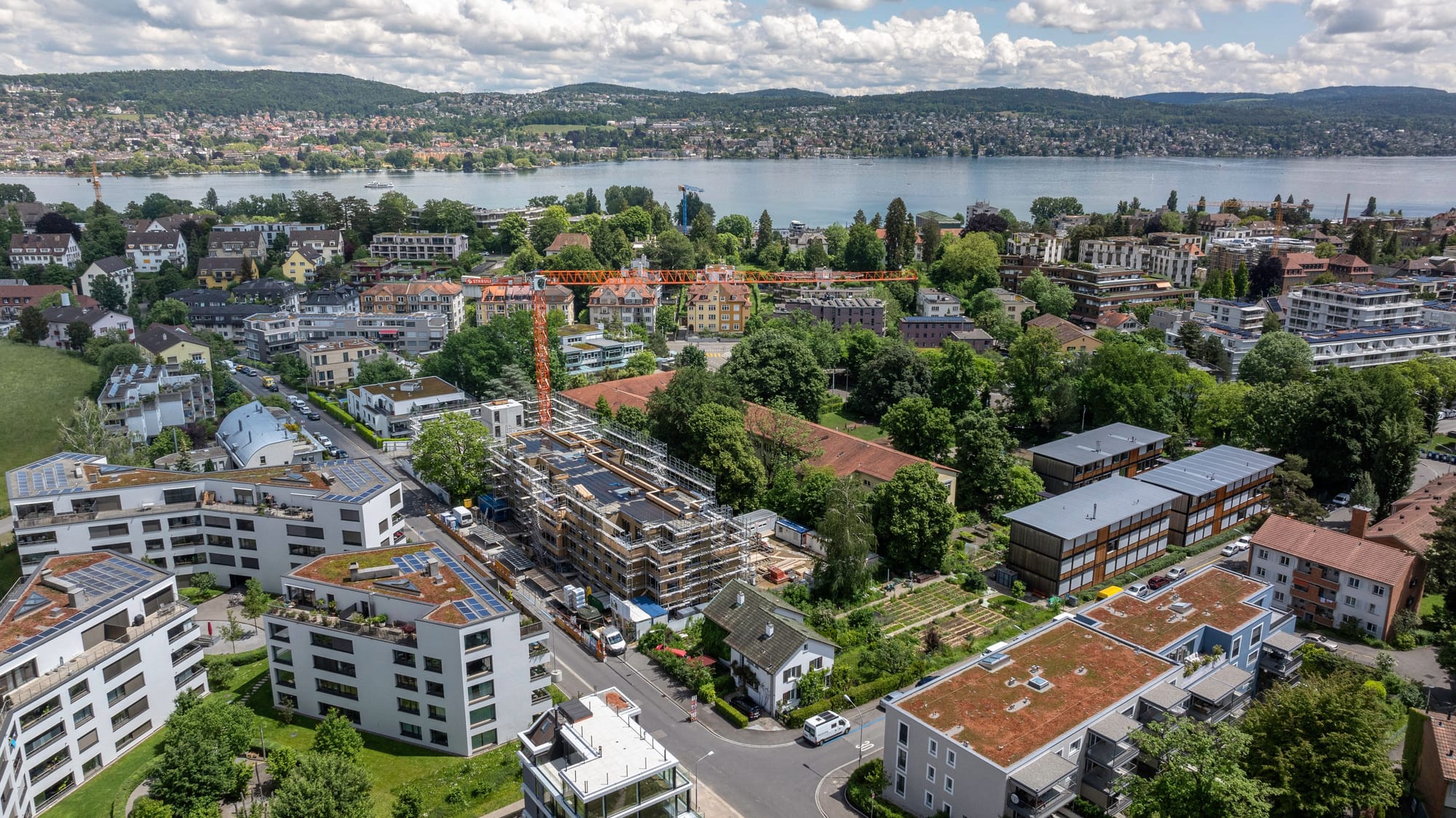 4037 D8 240531 Cajos Wollishofen Shoot 3 3