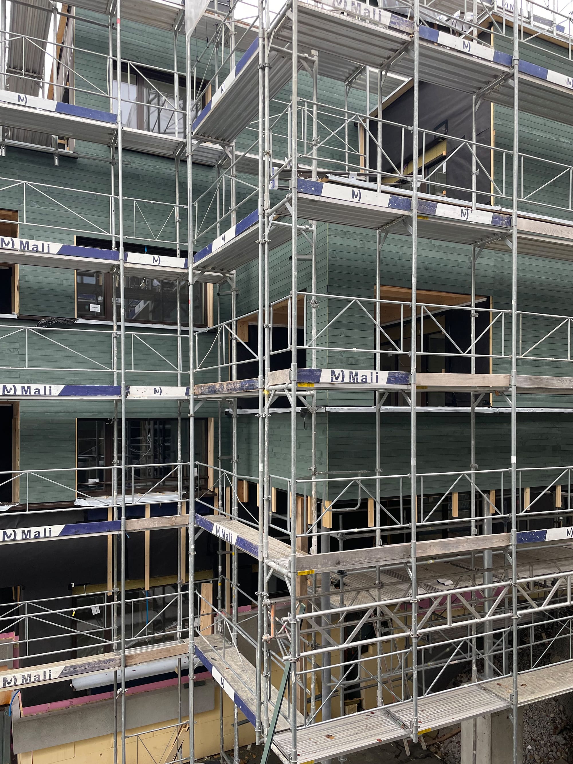 4037 D5 241002 Fassade gruen2 IMG 0746 bearbeitet