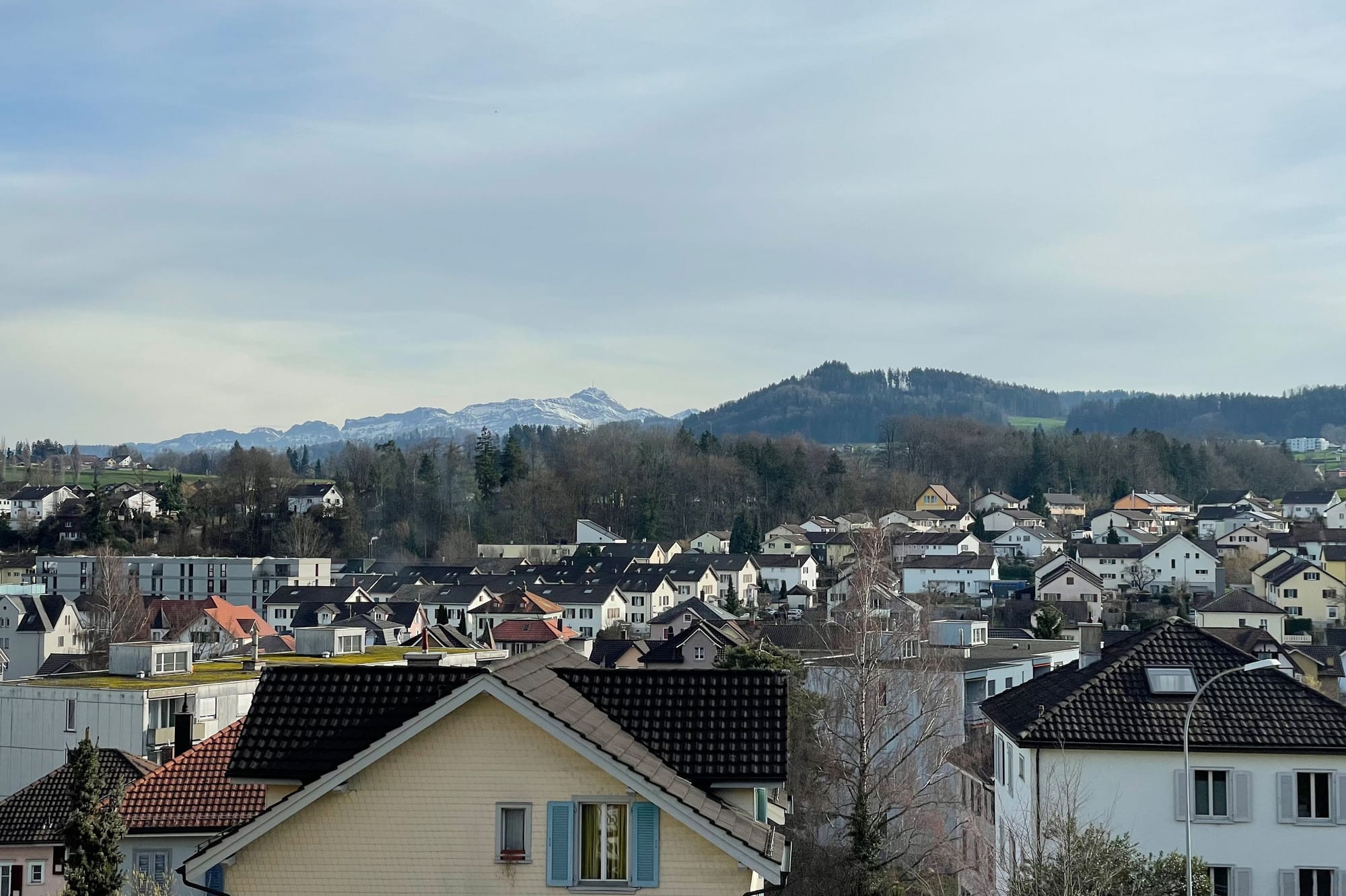 4026 D1 240704 IMG 9447 45 30
