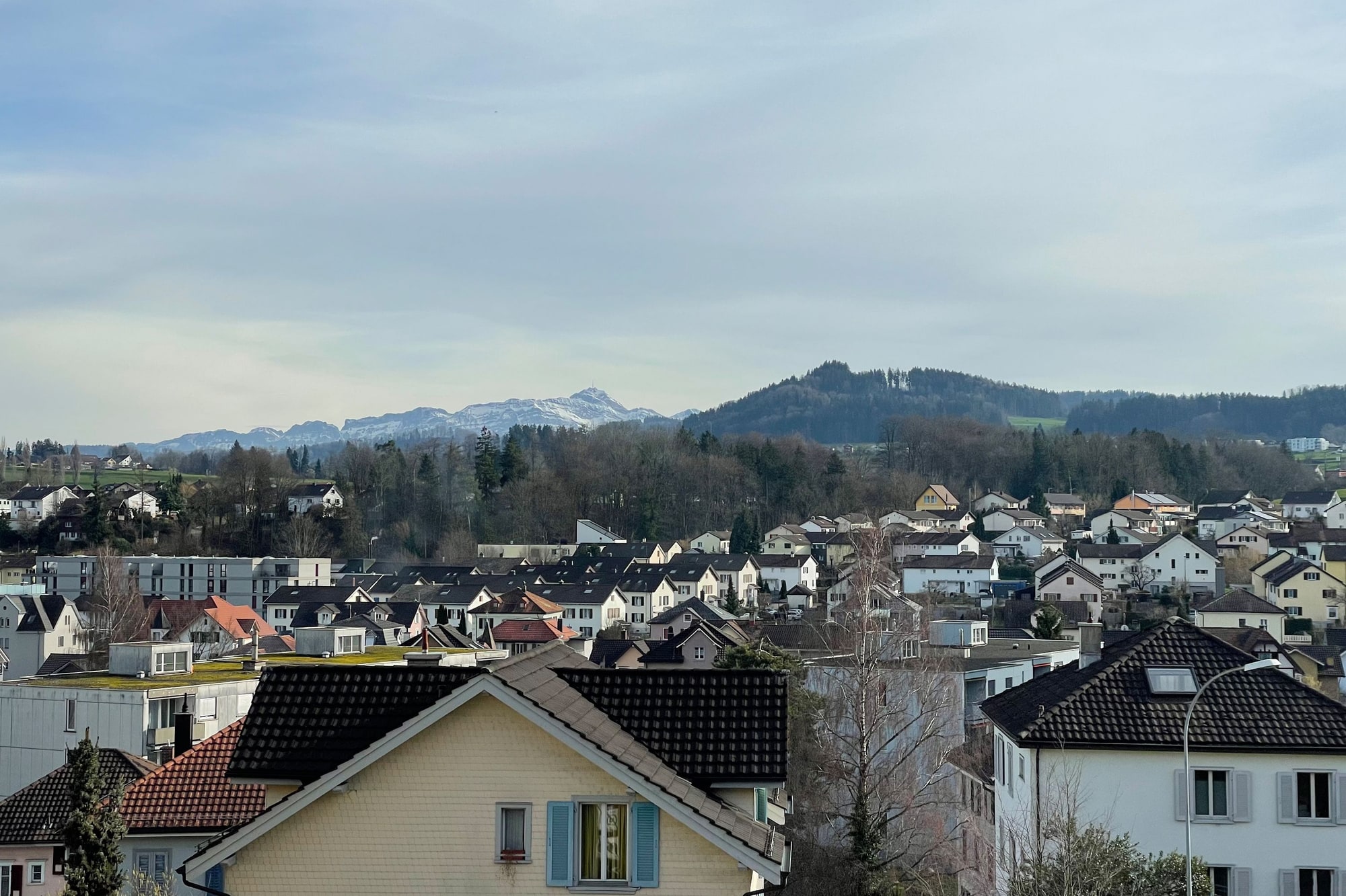 4026 D1 240704 IMG 9447 45 30