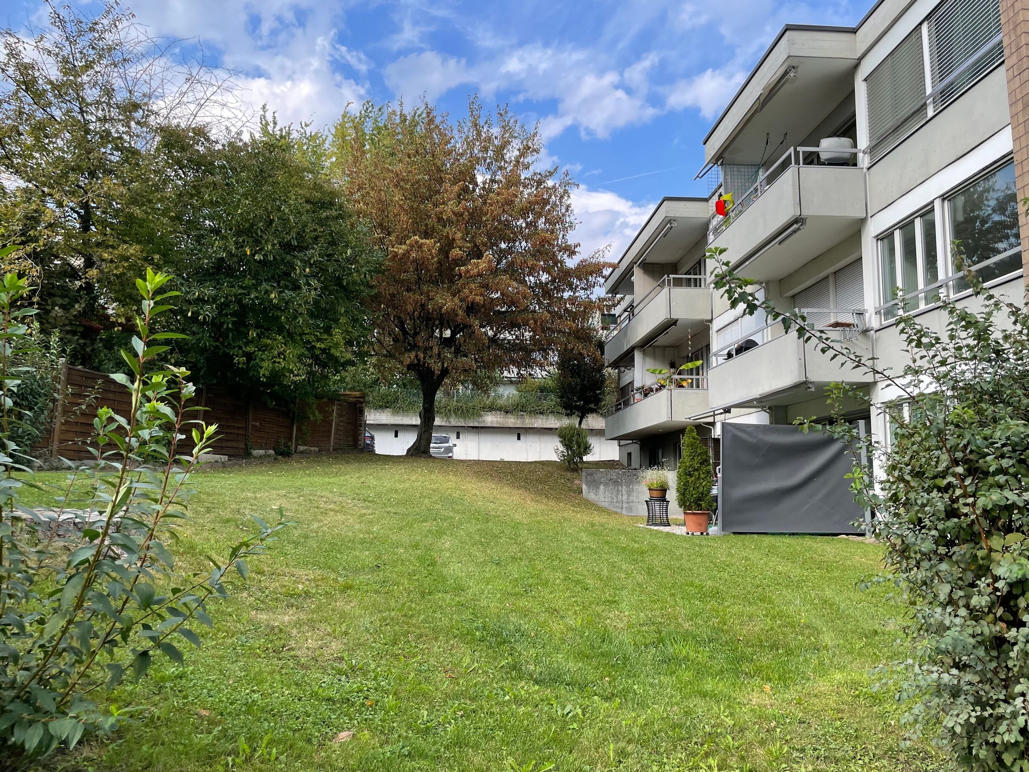 4049 IMG 6239