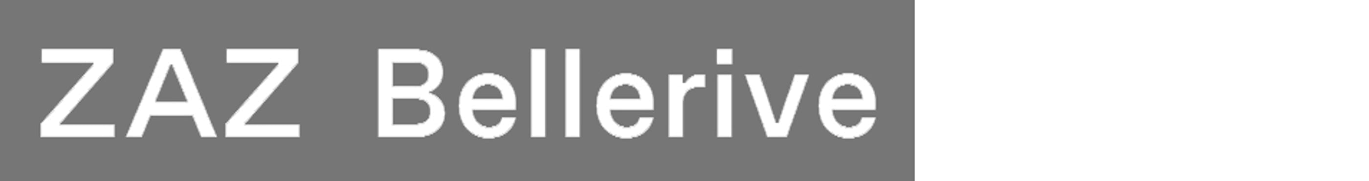 Zaz logo klein