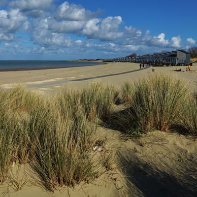 Foto Zeeland CDA