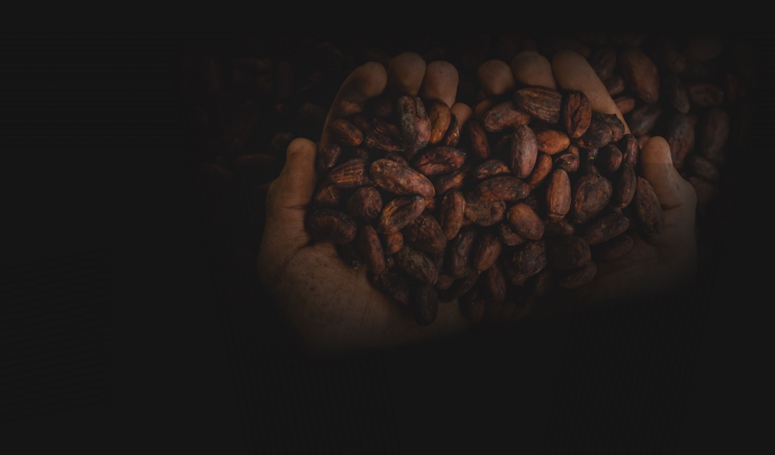 Cacao Background Image