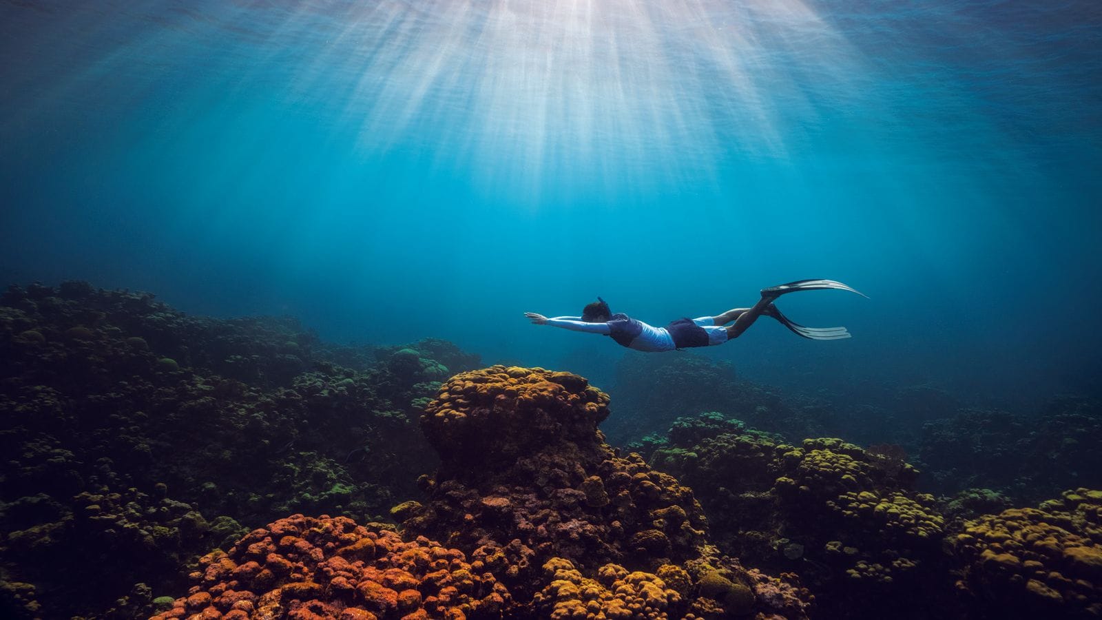 OCEANR_DSC07233 (1).jpg