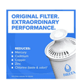 Standard Water Pitcher Replacement Water Filters, BPA Free (1-Pack) 2