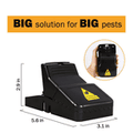 Instant Kill Traps for Mouse Rat Chipmunk, Quick Set Up and Reusable 1