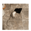 Instant Kill Traps for Mouse Rat Chipmunk, Quick Set Up and Reusable 6